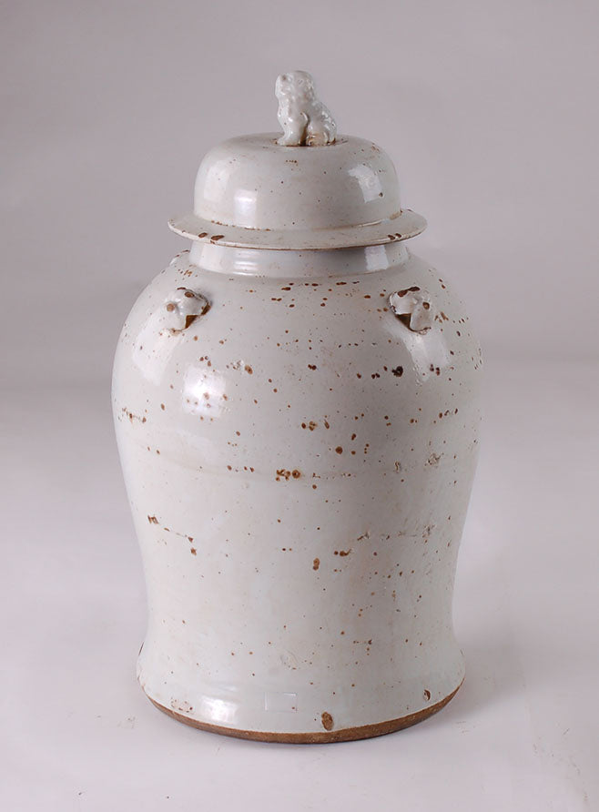 Antiqued White Jar with Foo Dog