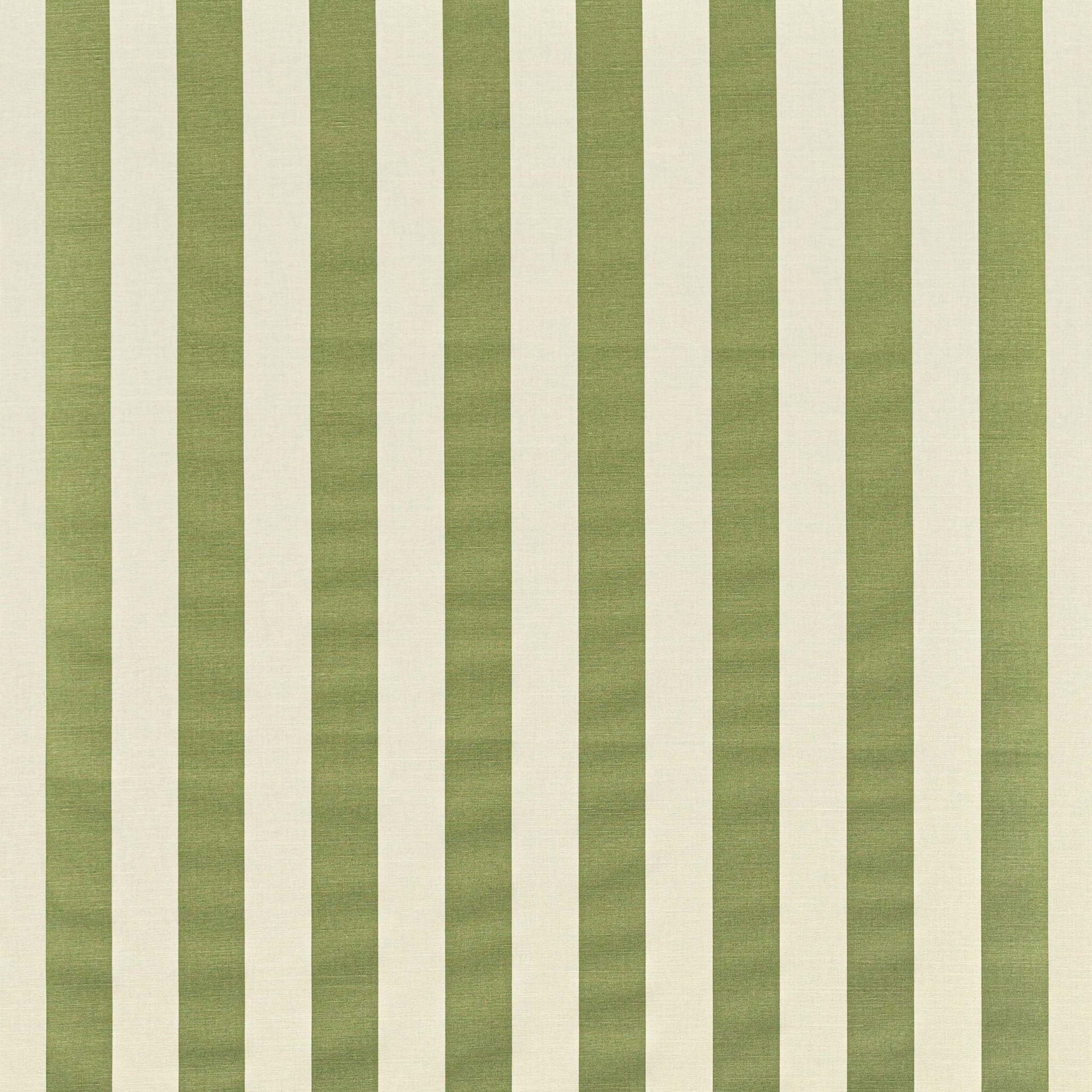 Avenue Stripe - Green on White