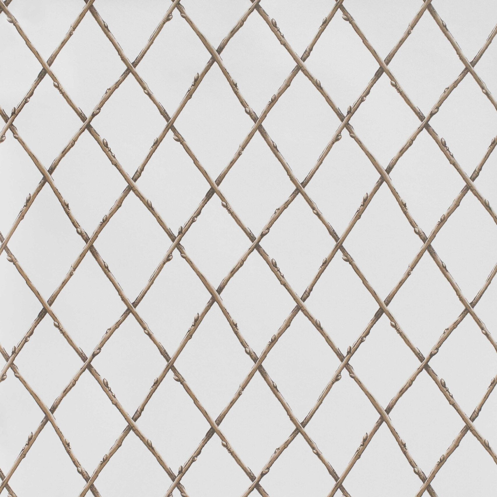 Bare Twig Trellis Wallpaper - Brown
