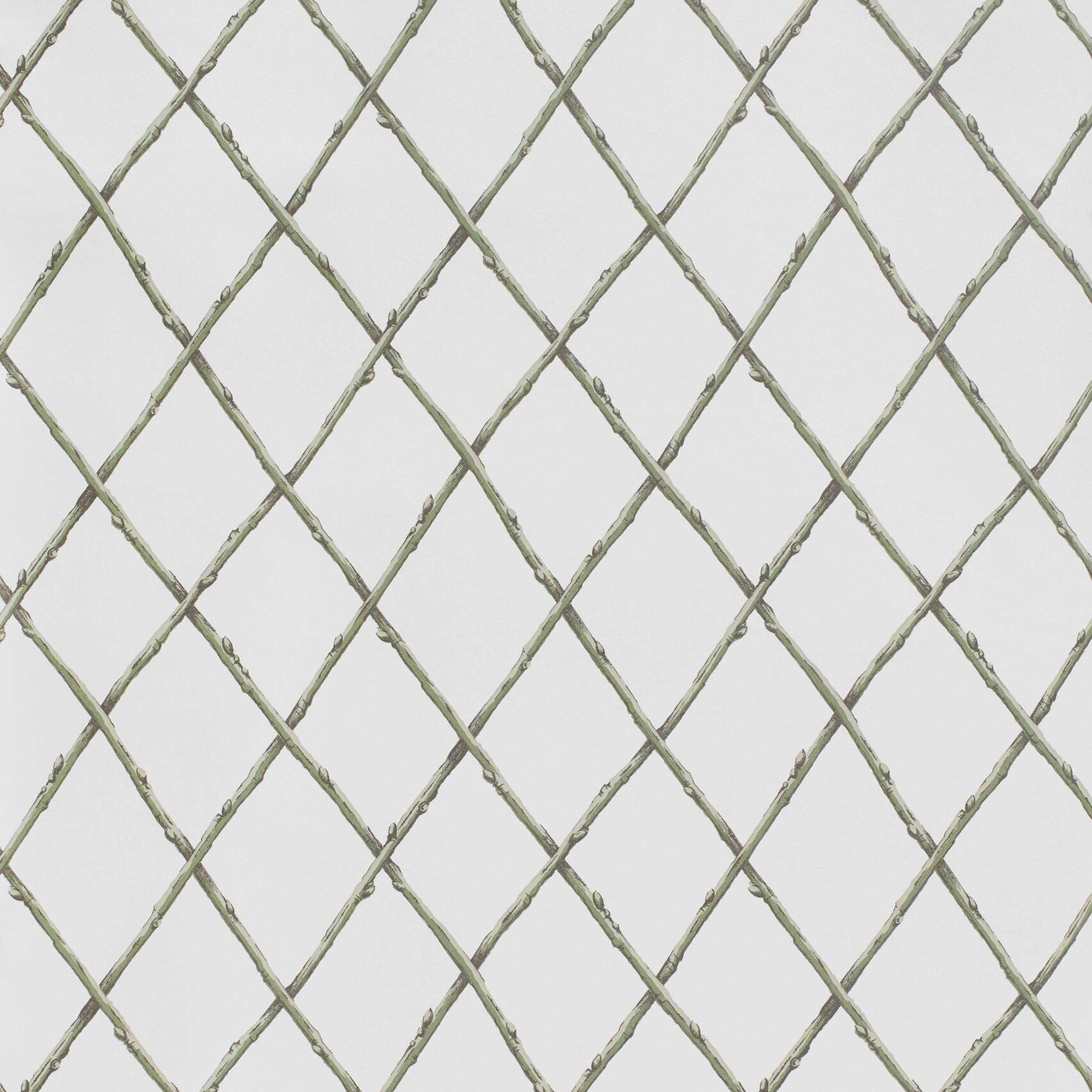 Bare Twig Trellis Wallpaper - Green