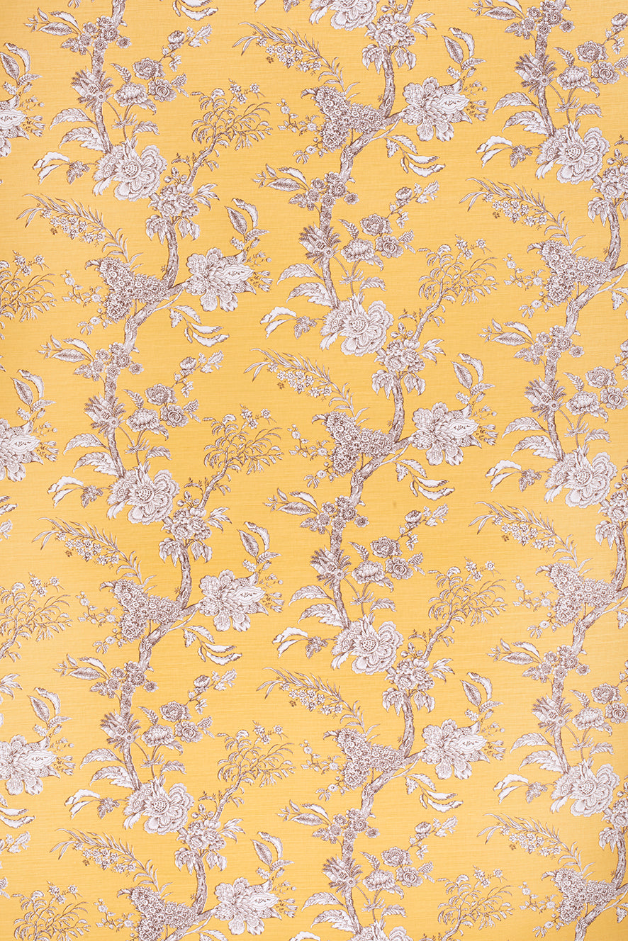 Beijing Blossom – Blotched Amber¦Damson