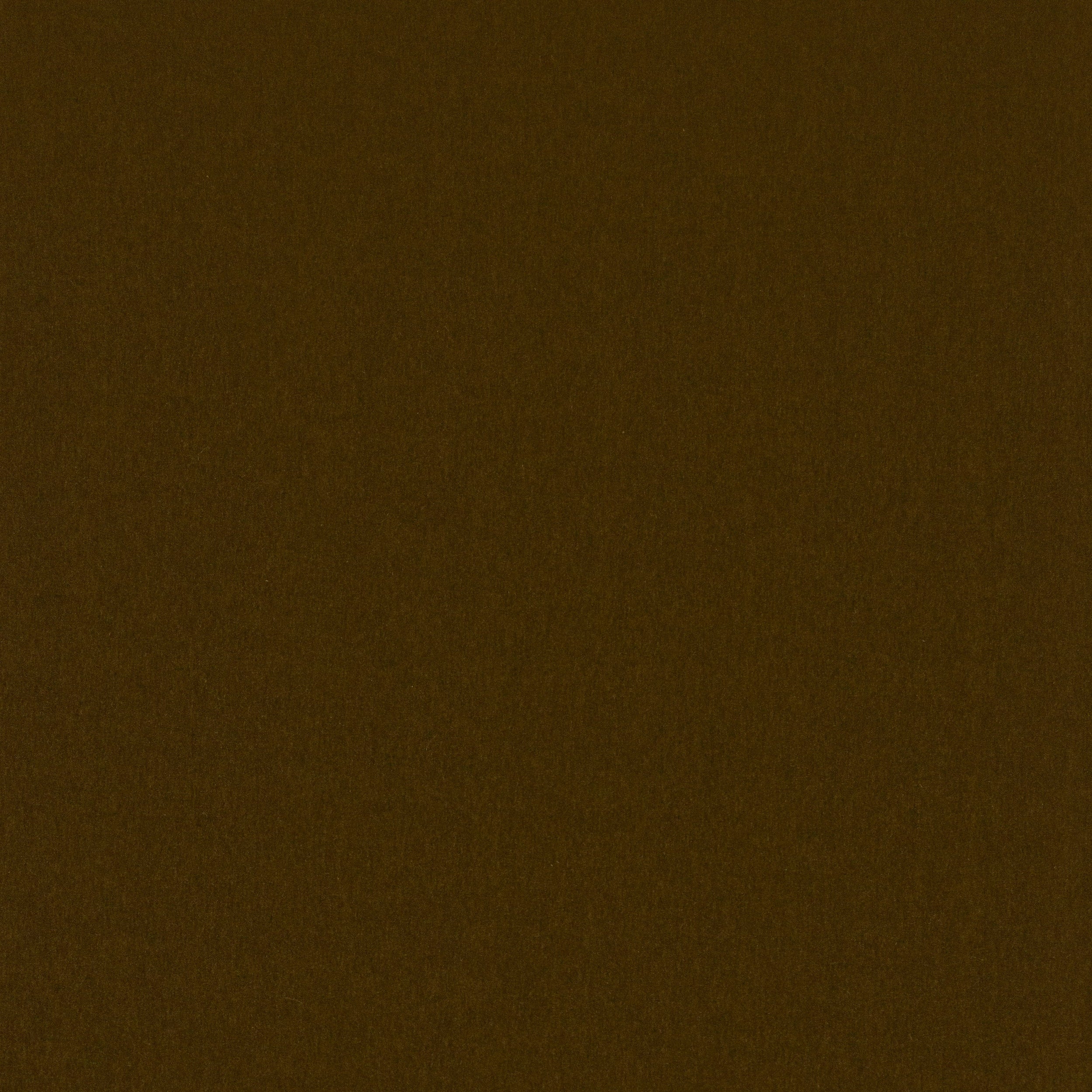 Cavelle Mohair Velvet - Cedar