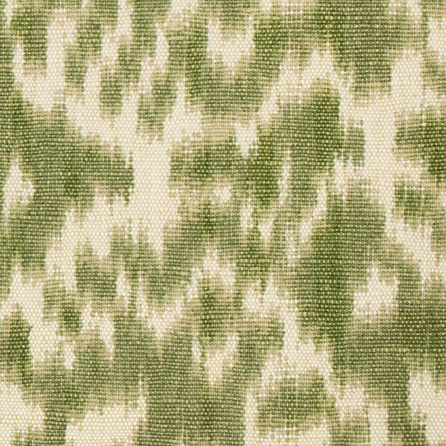 Farah - Fern