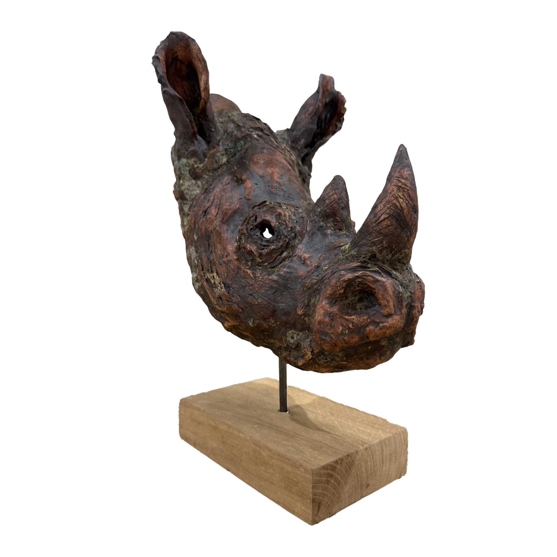 Ceramic Rhino Head by Angela Sidwell