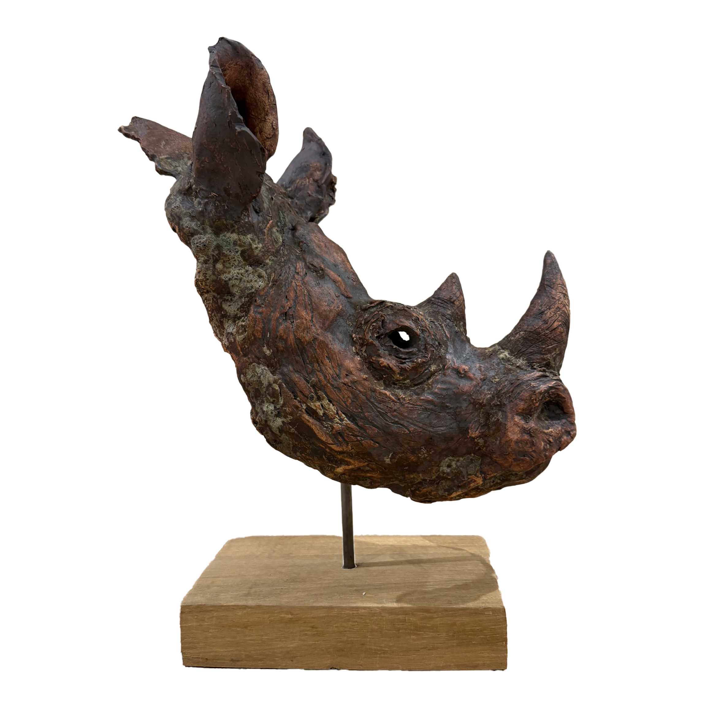 Ceramic Rhino Head by Angela Sidwell