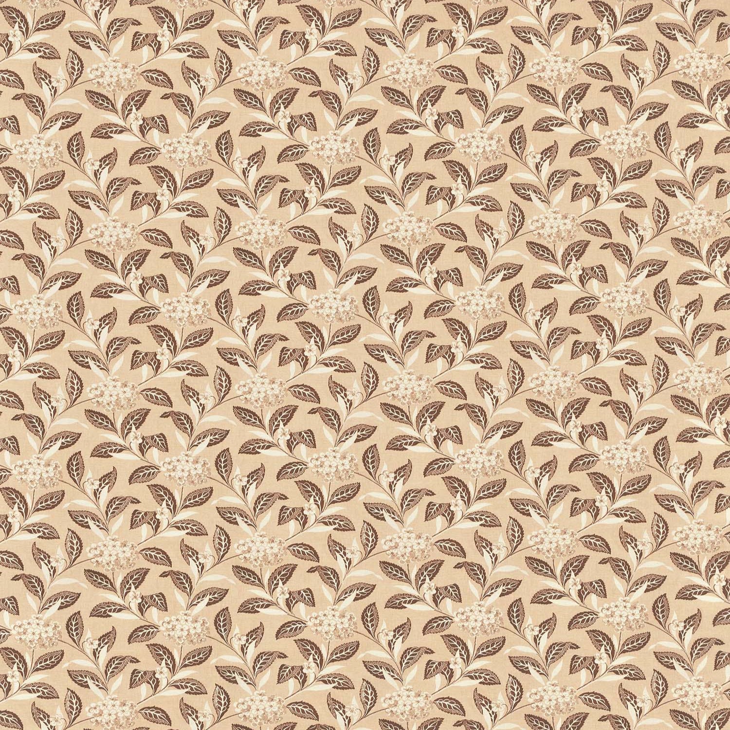 Ortensia - Brown on Blush