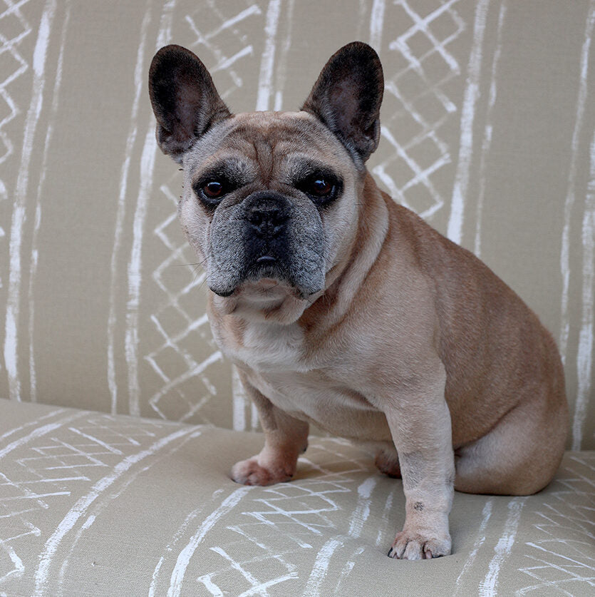 Milos Blotched Stripe - Sand