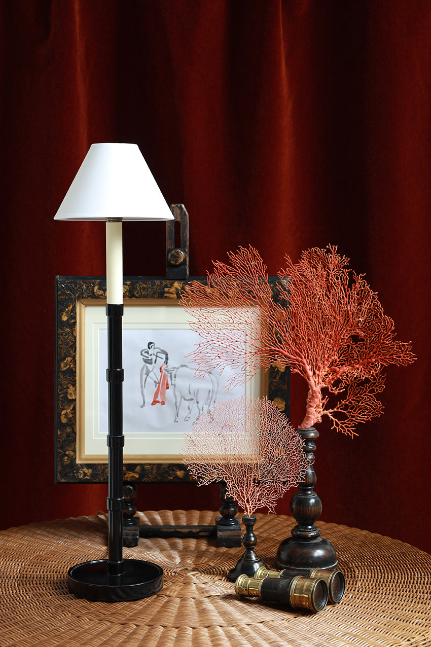 Orange Seafan on Stand - Medium