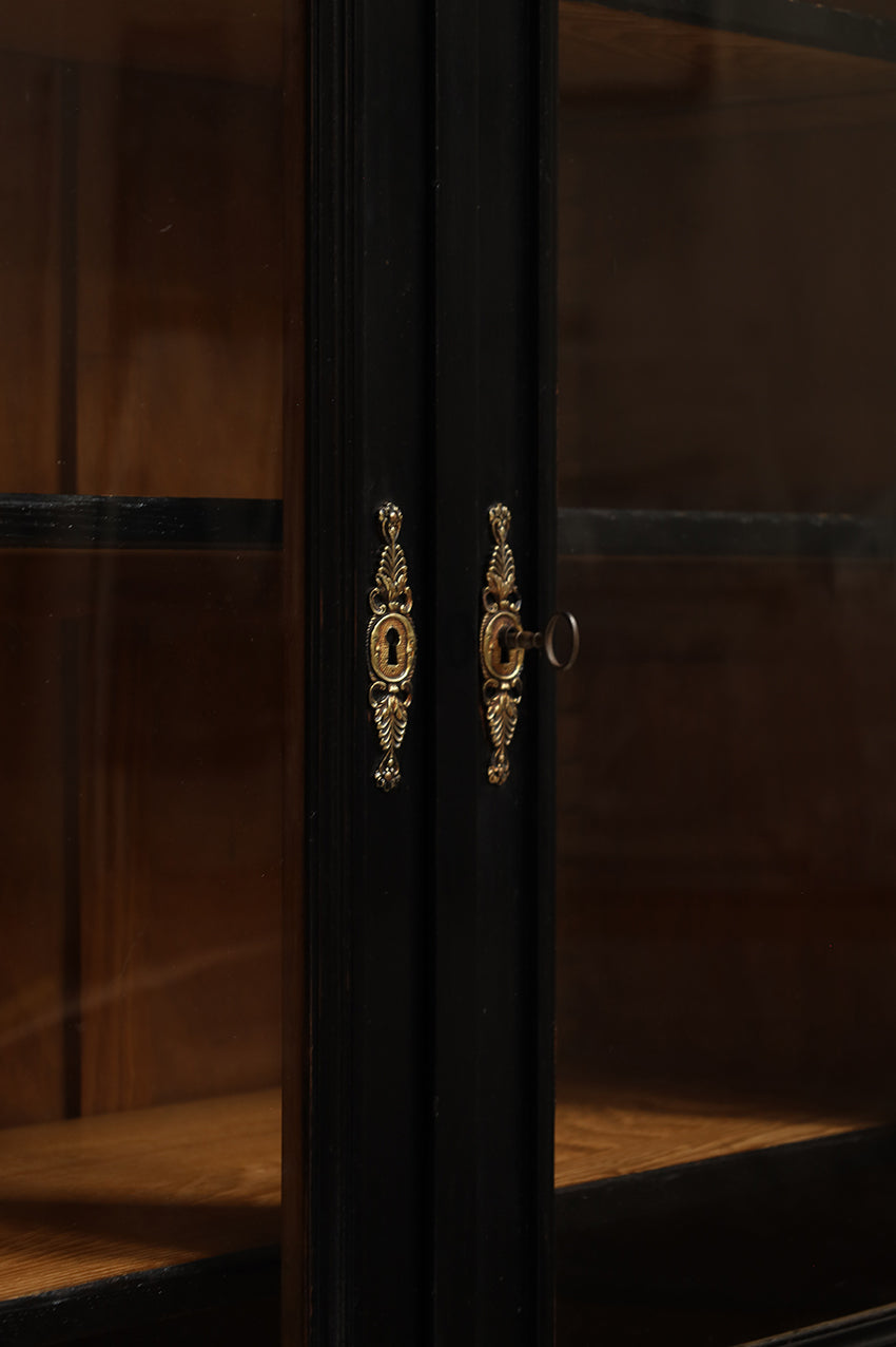 Pair of 19th Century French Ebonised Bookcases