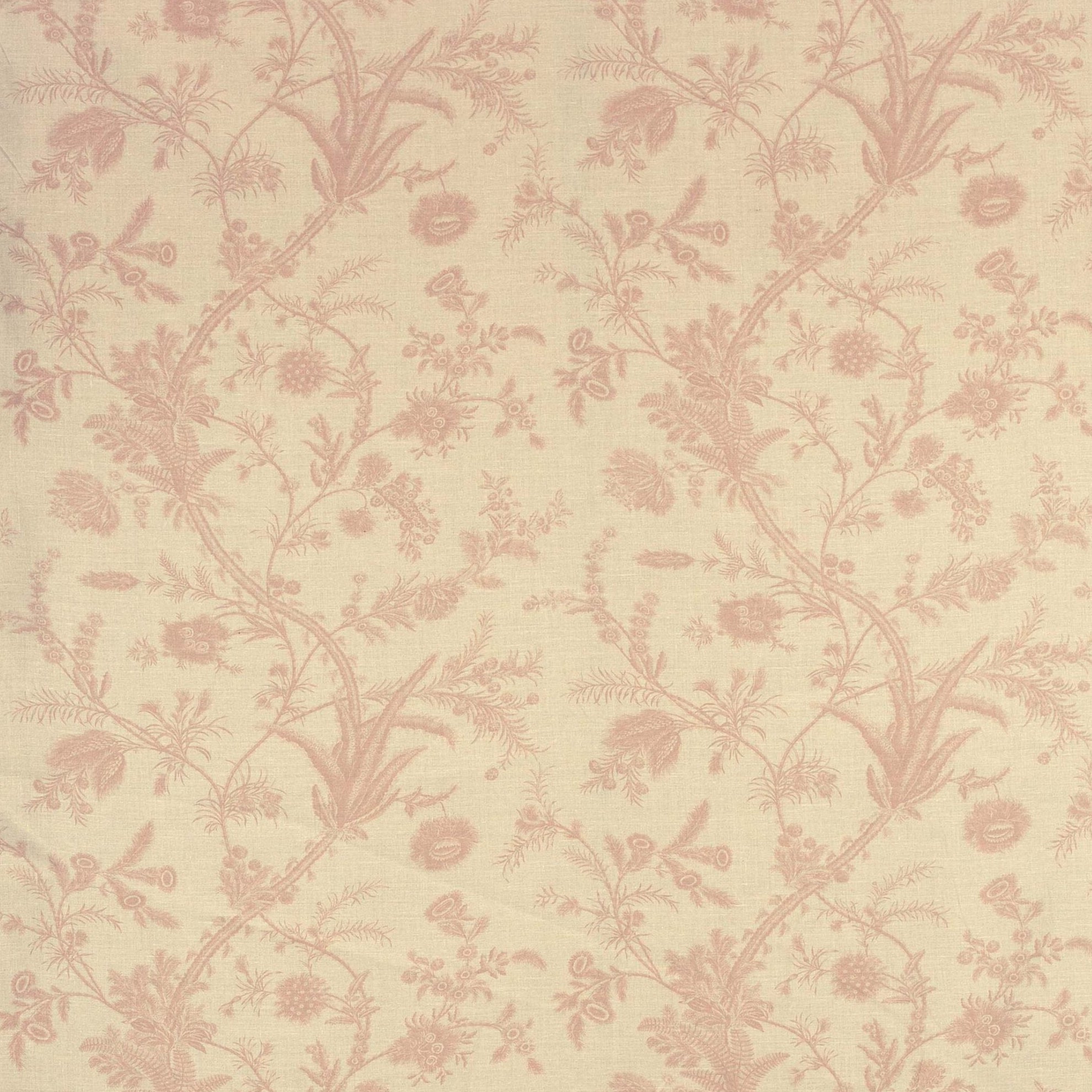 Plumes - Antique Pink