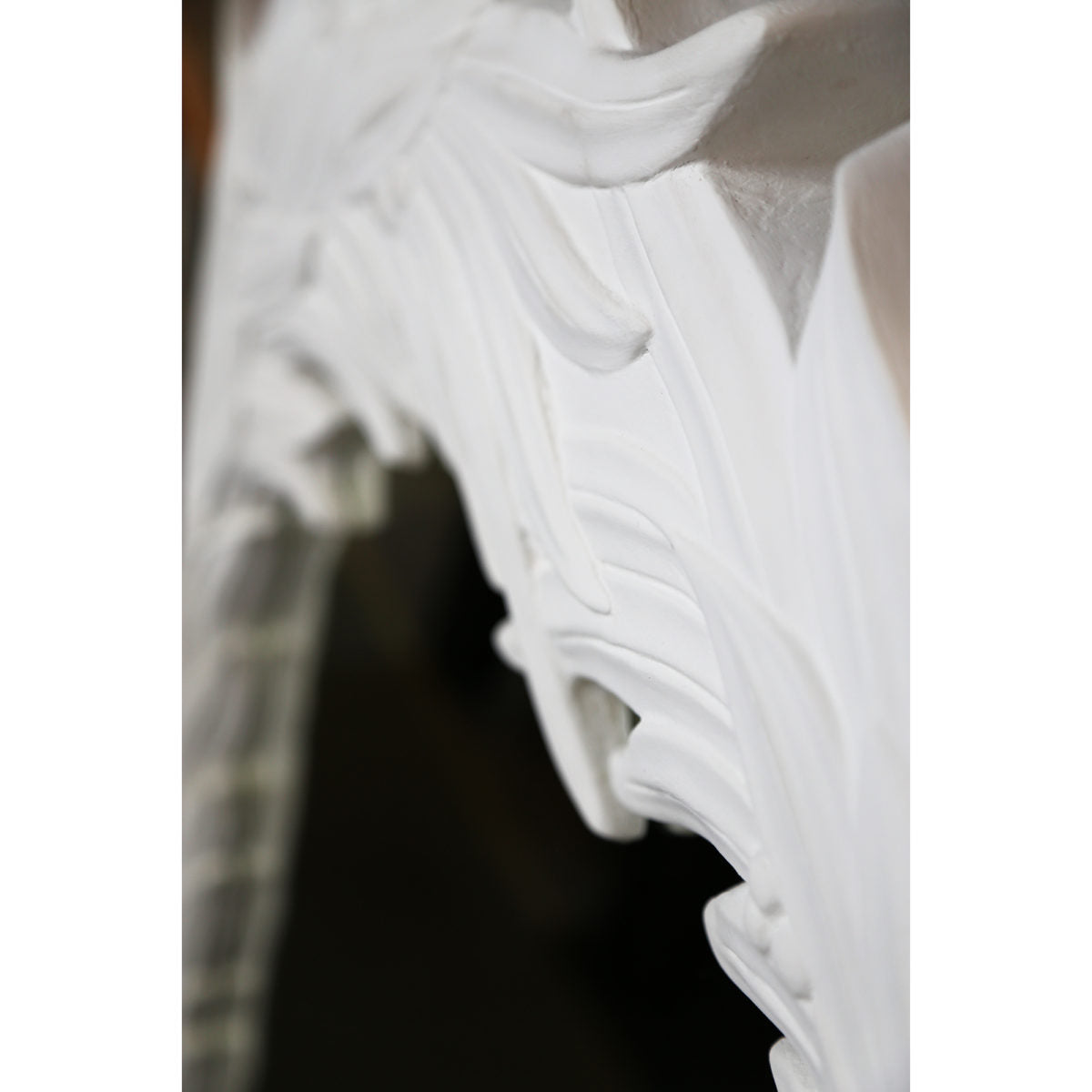 Roche-Mirror-Closeup-1200×1200