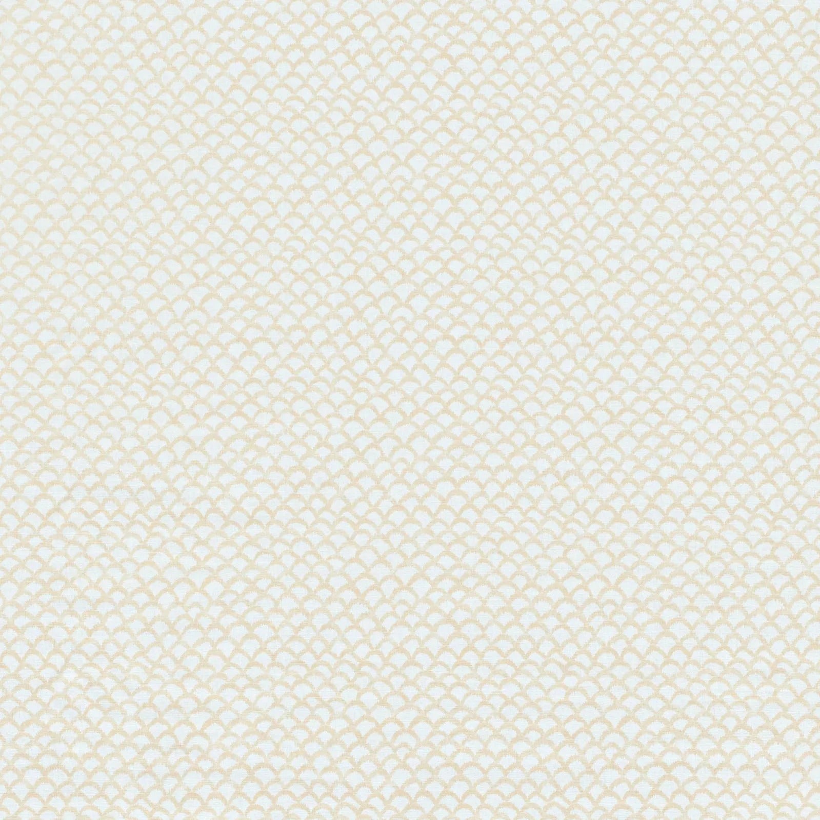 Roche - Vanilla