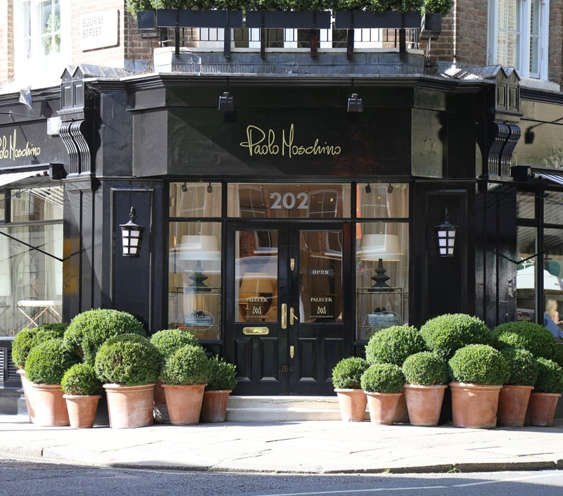 Showroom & Retail store