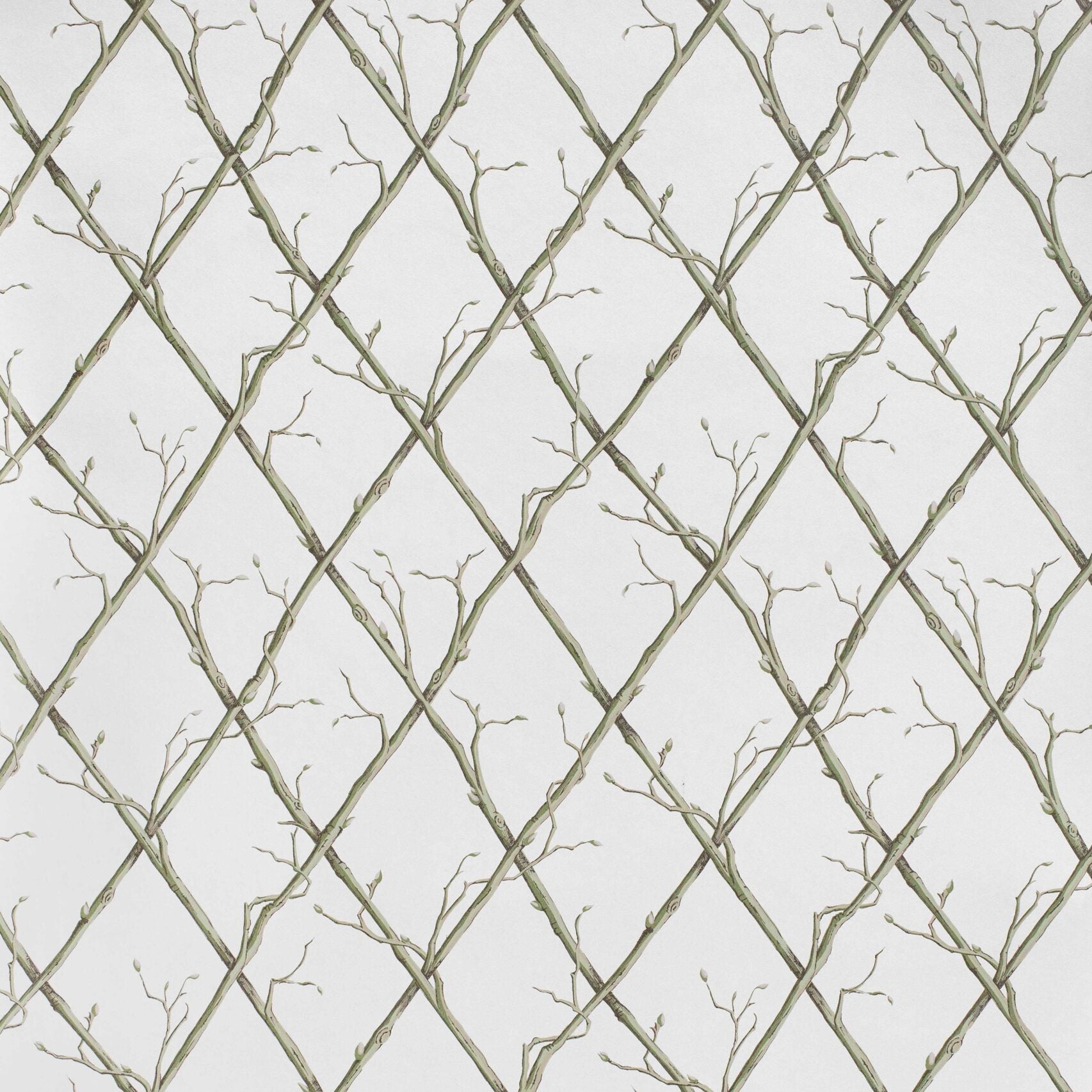 Twig Trellis Wallpaper - Green