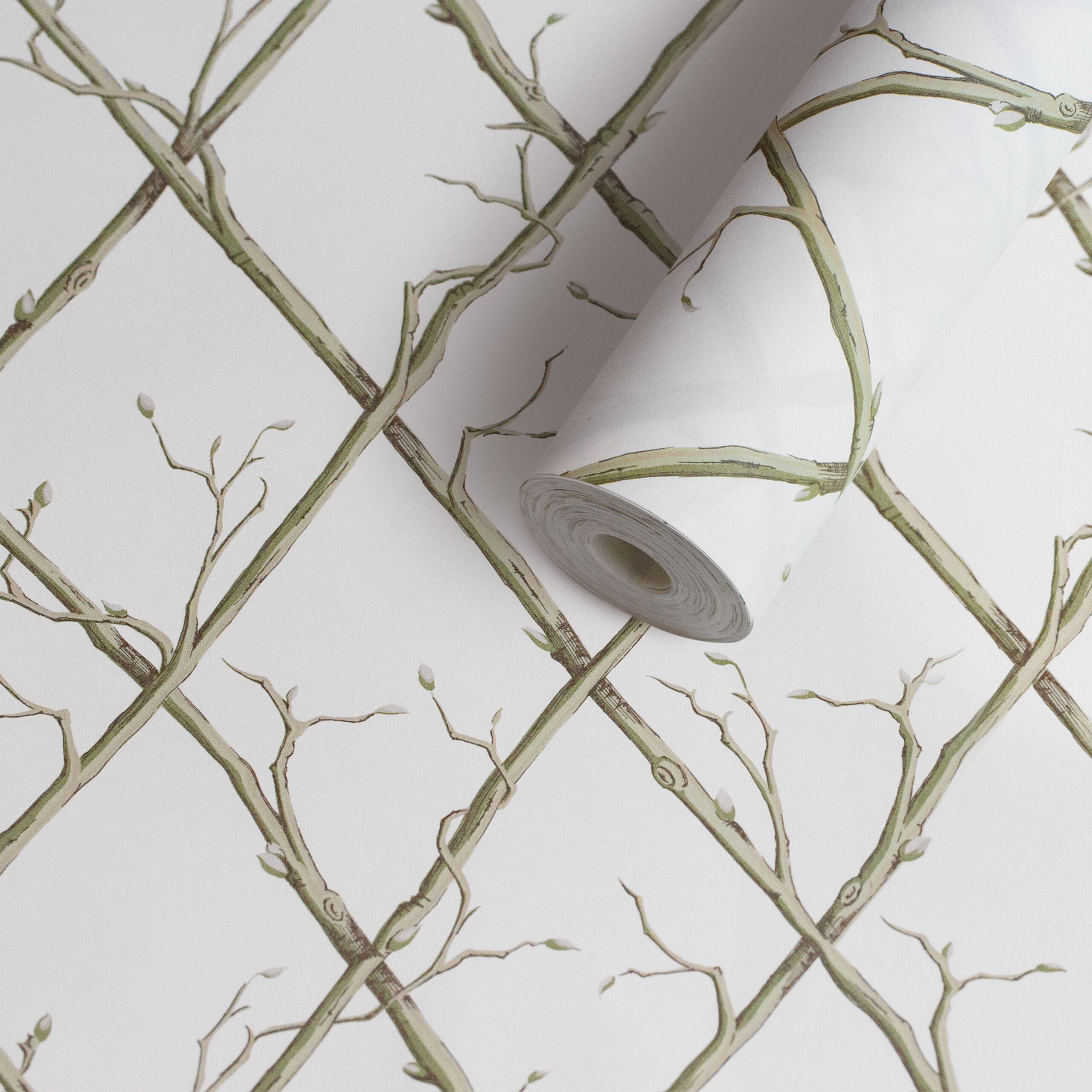 Twig Trellis Wallpaper - Green