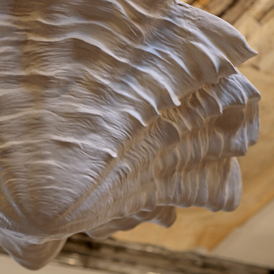 Vignette.Oyster Ceiling Pendant in Situ.LR