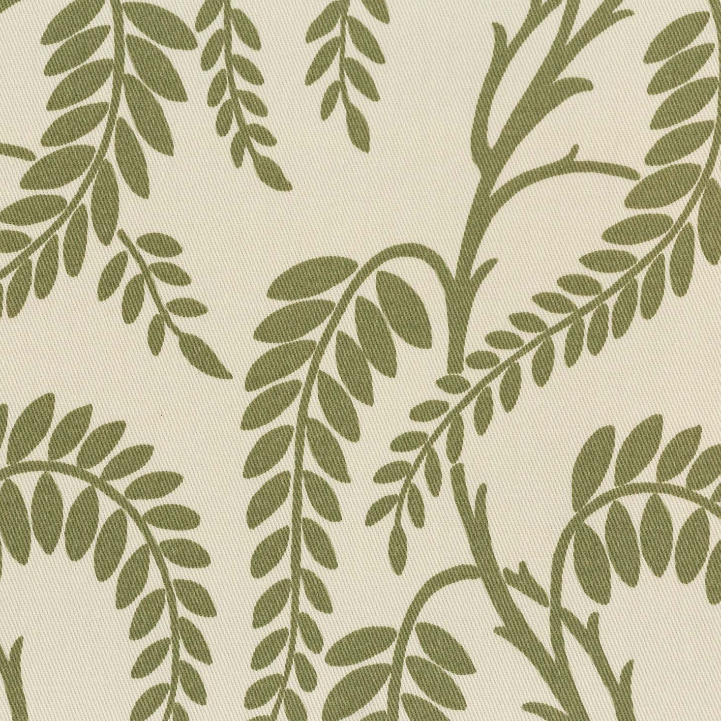 Wisteria - Sage on White