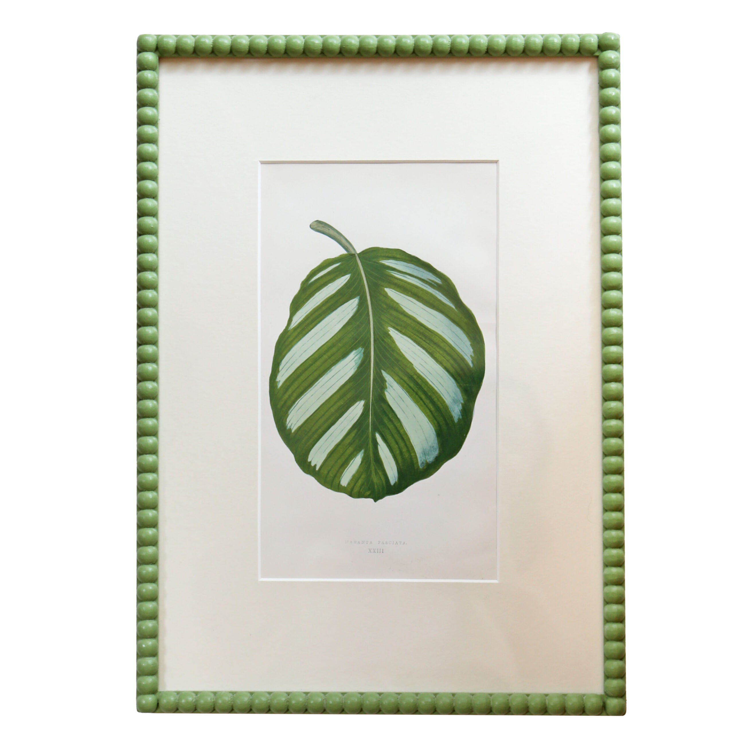 Leaf Artwork III - Green Frame