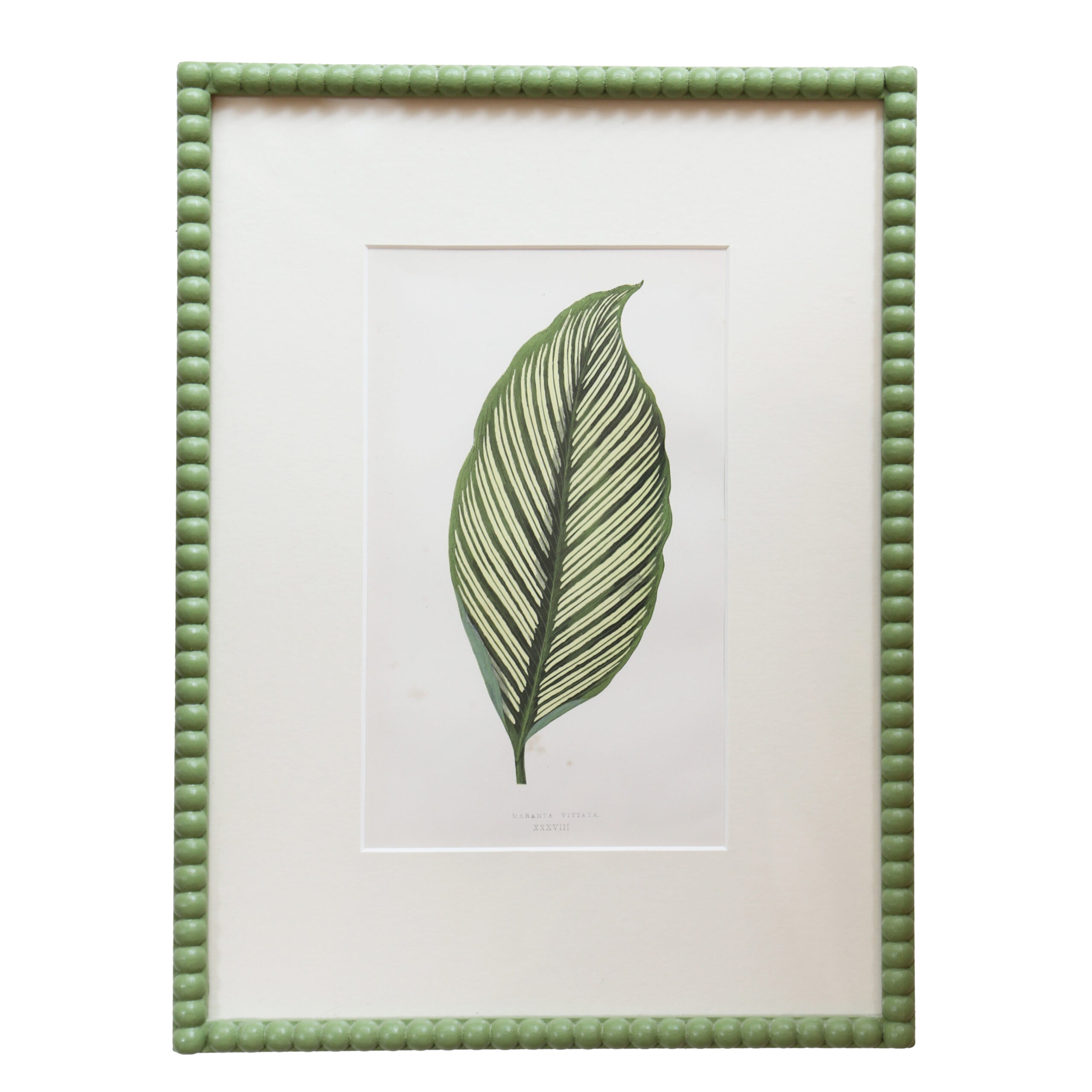 Leaf Artwork II - Green Frame
