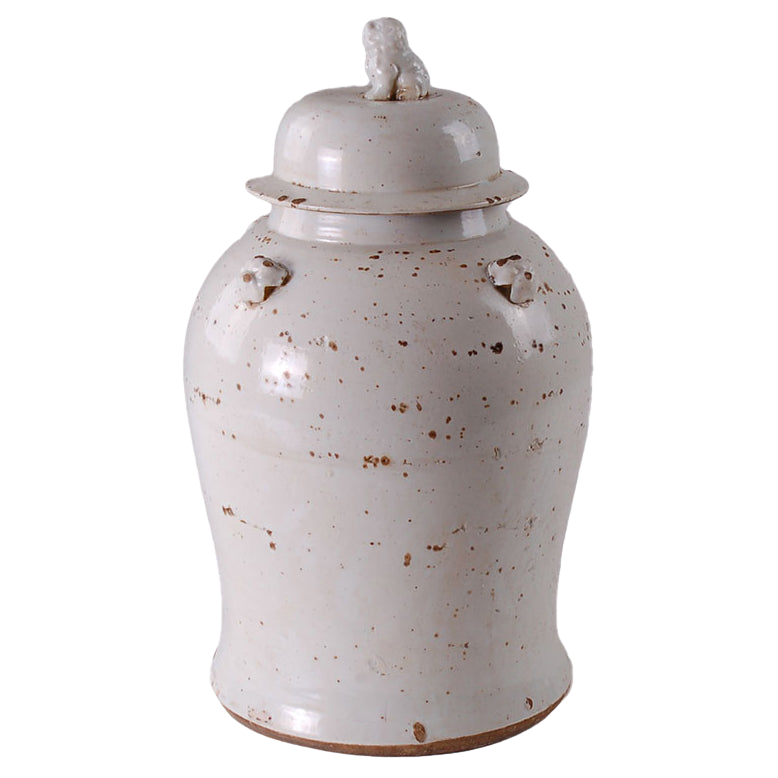 Antiqued White Jar with Foo Dog
