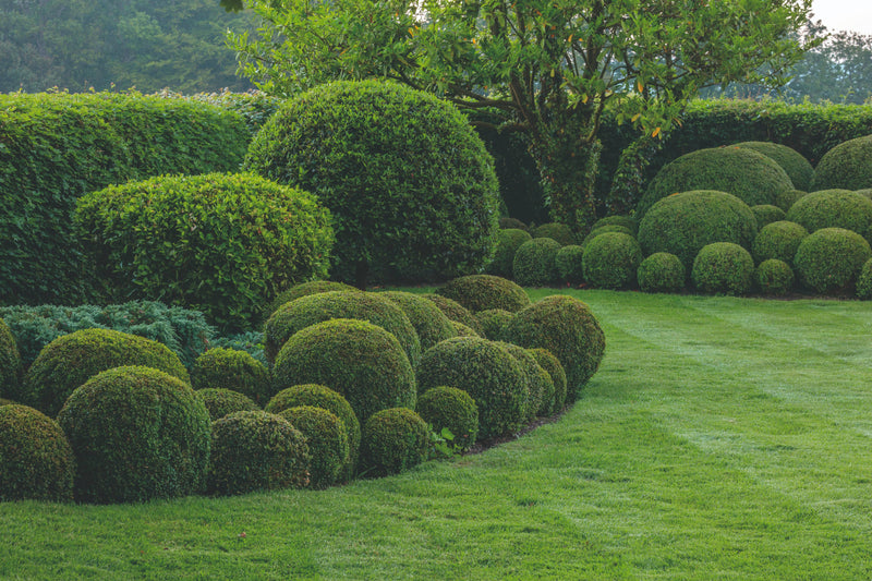 Sussex Farmhouse - The Garden 