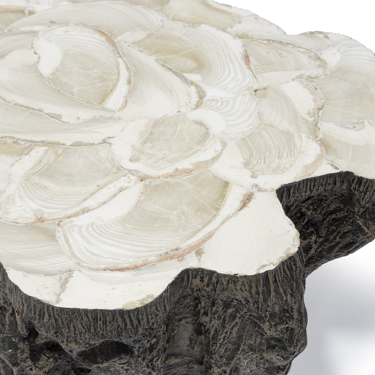 Chloe Fossilized Clam Lava Coffee Table