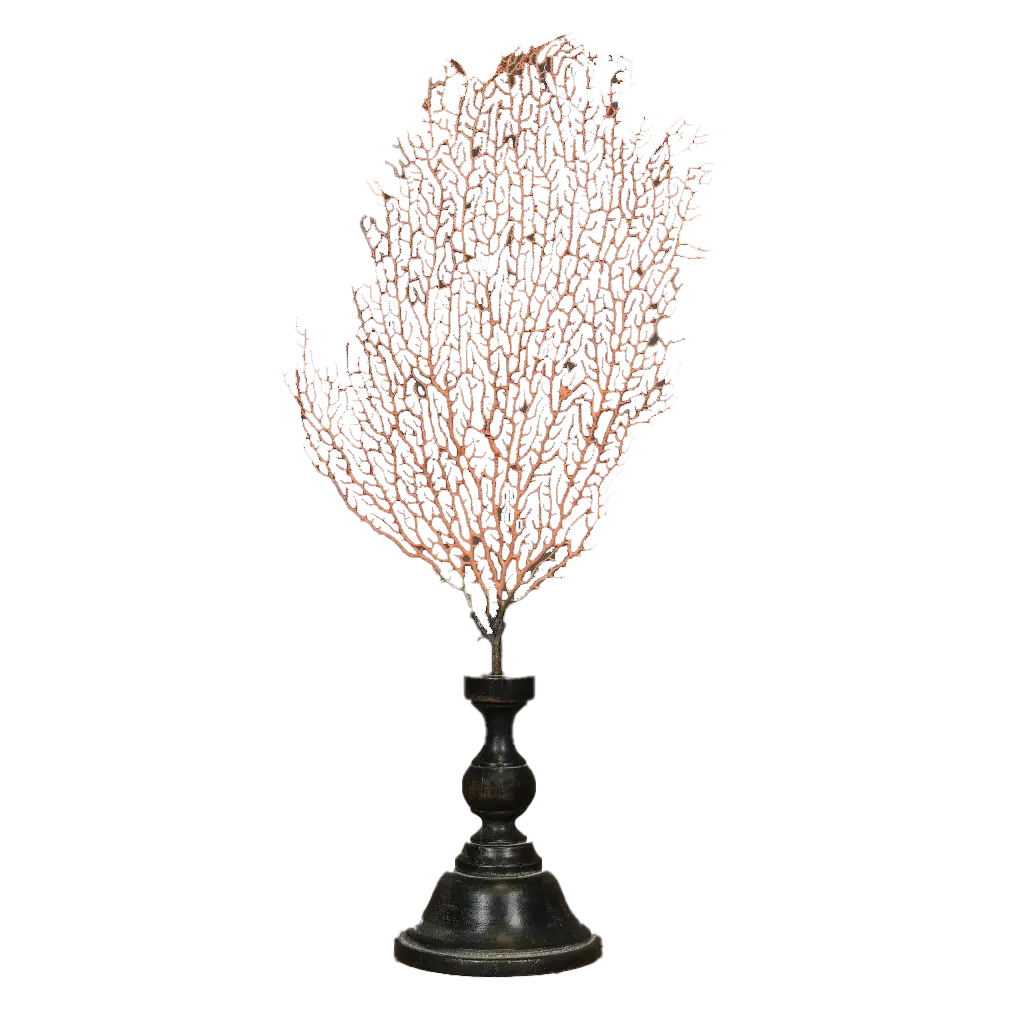 Orange Seafan on Stand - Medium