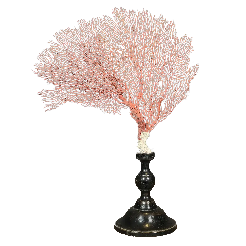 Orange Seafan on Stand - Large