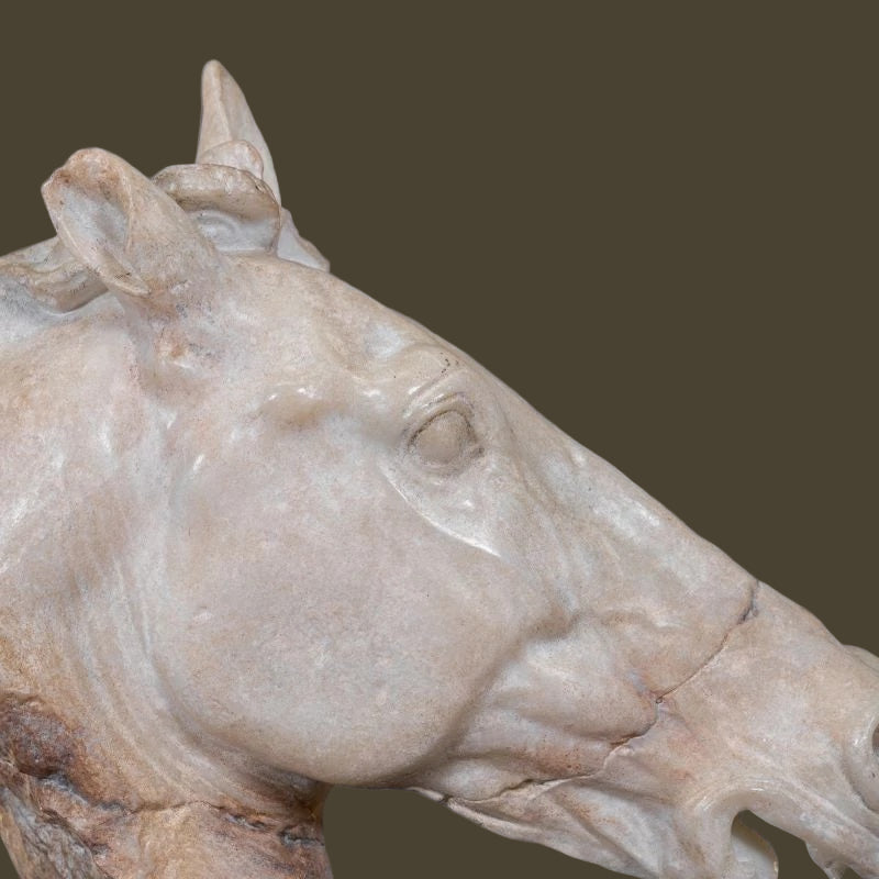 Small Head of Selene Horse