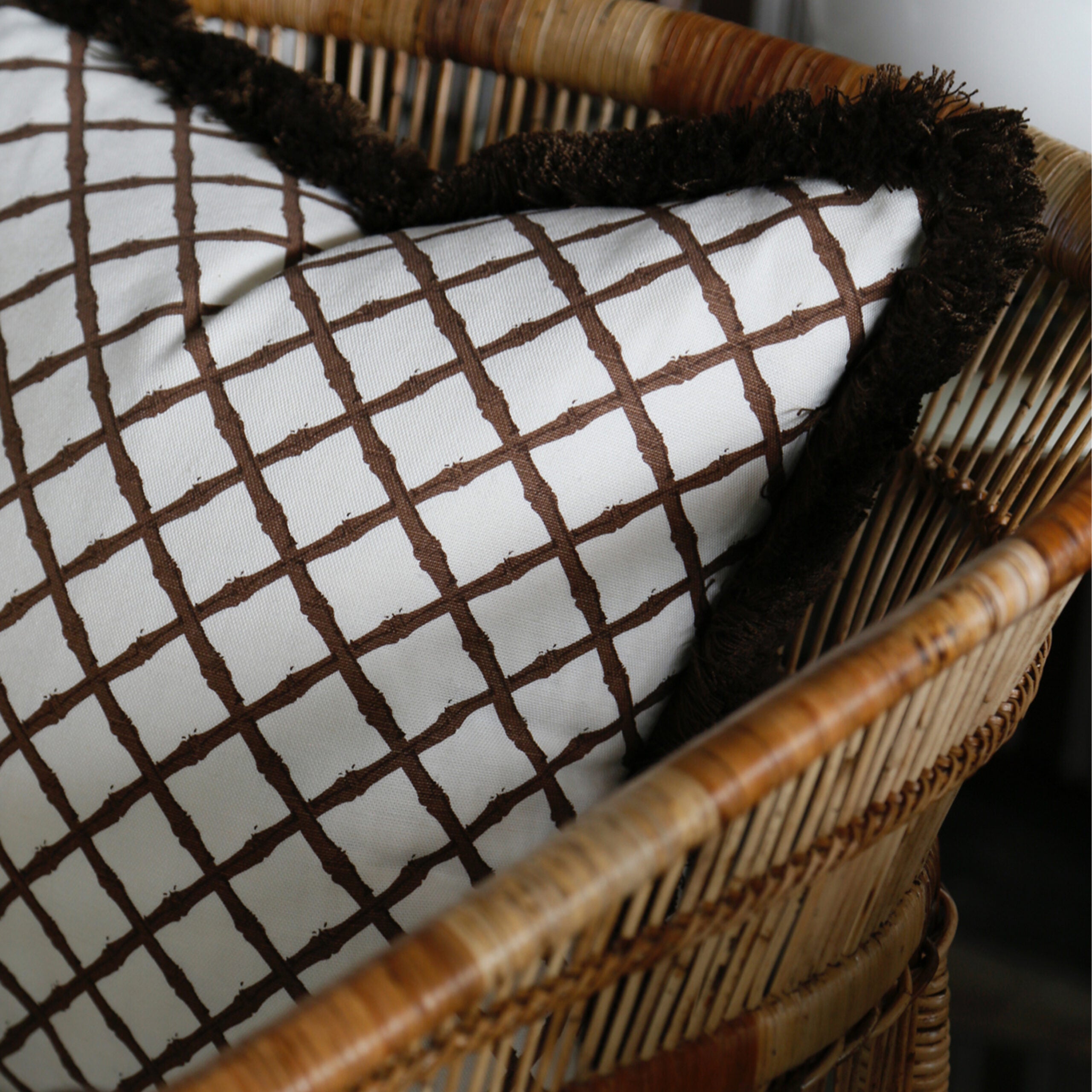 Bamboo Trellis - Brown
