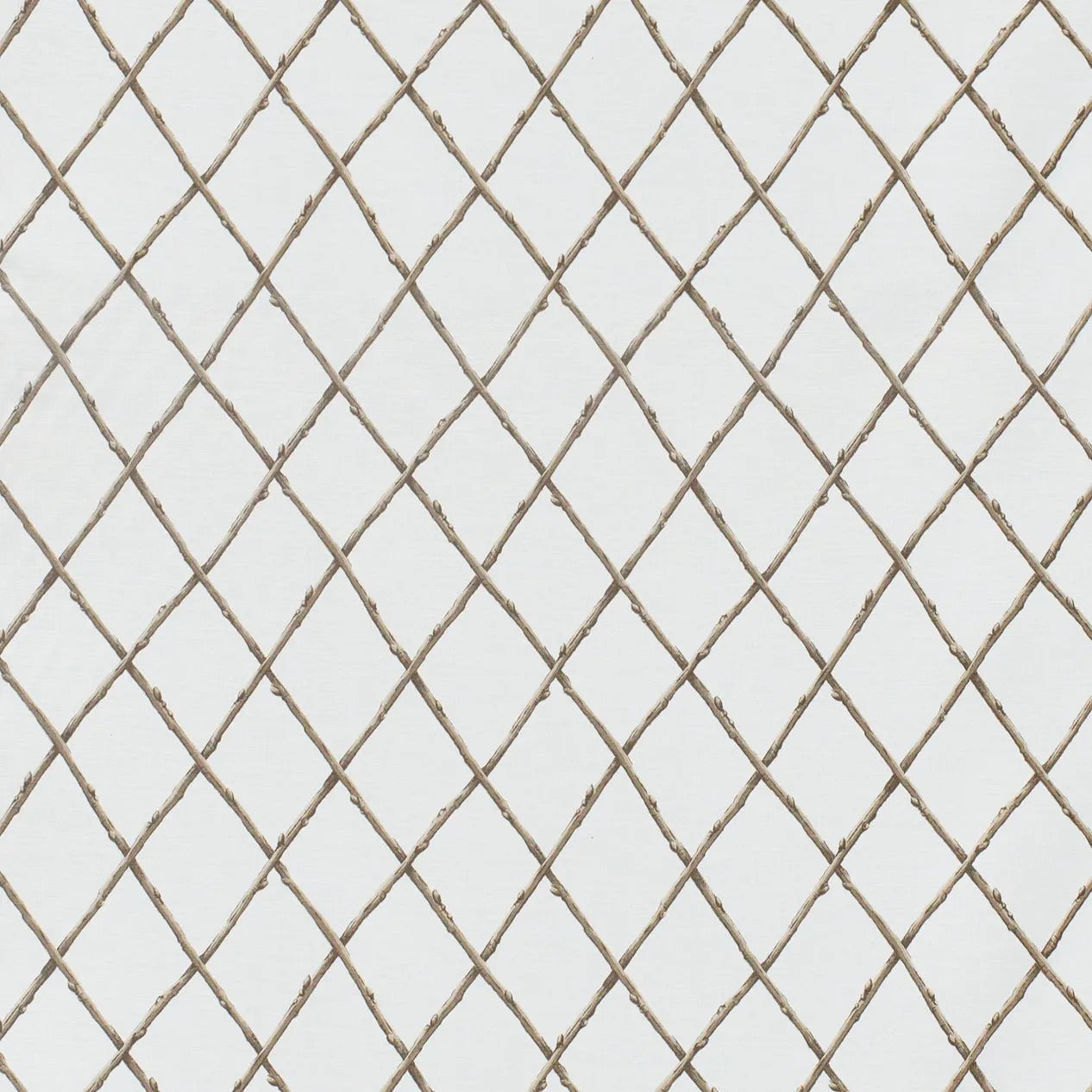 Bare Twig Trellis - Brown