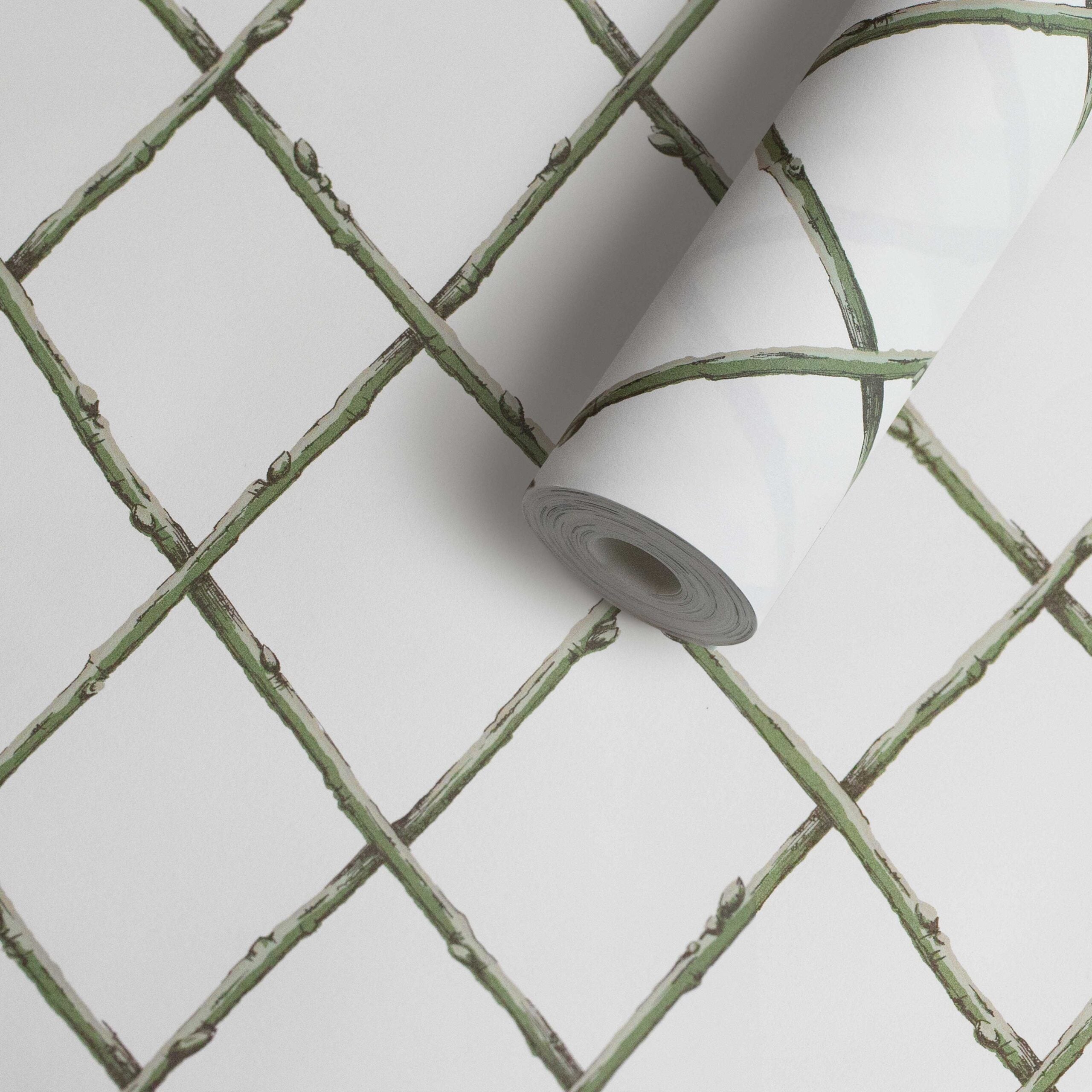 Bare Twig Trellis Wallpaper - Green