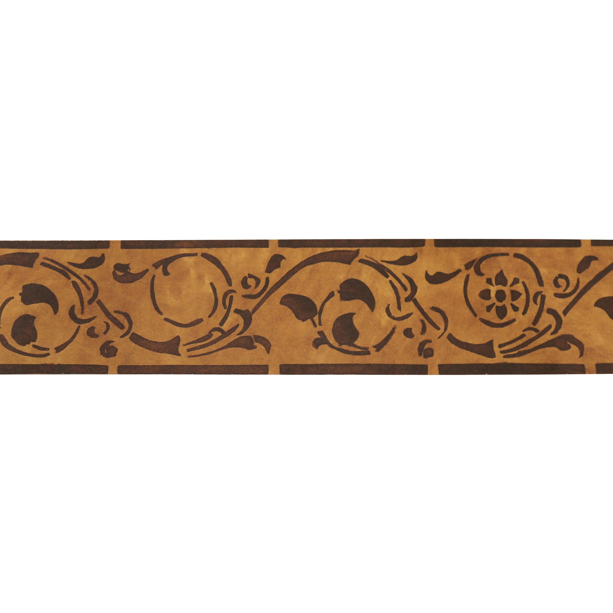 Border Edera_WS
