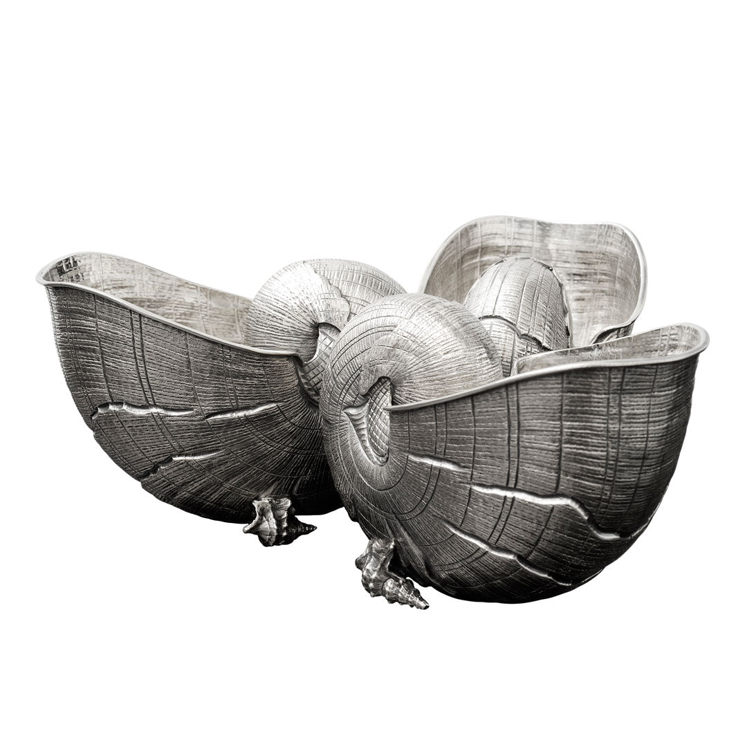 Nautilus 3 Shells Centerpiece