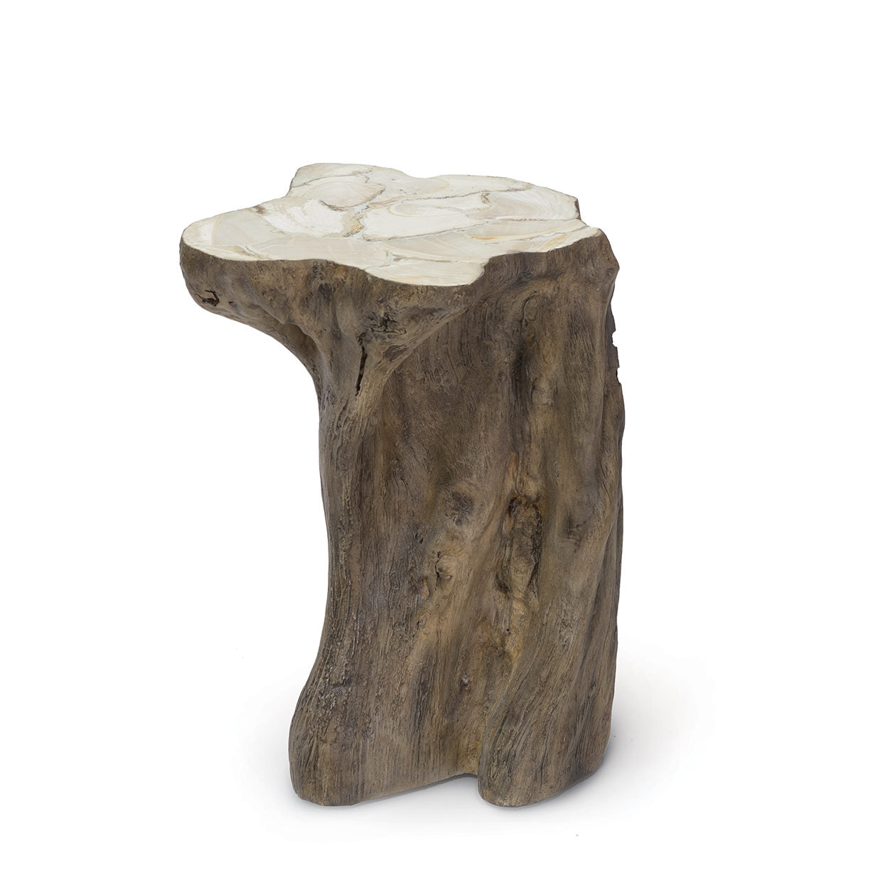 Chloe Fossilized Clam Stump Table
