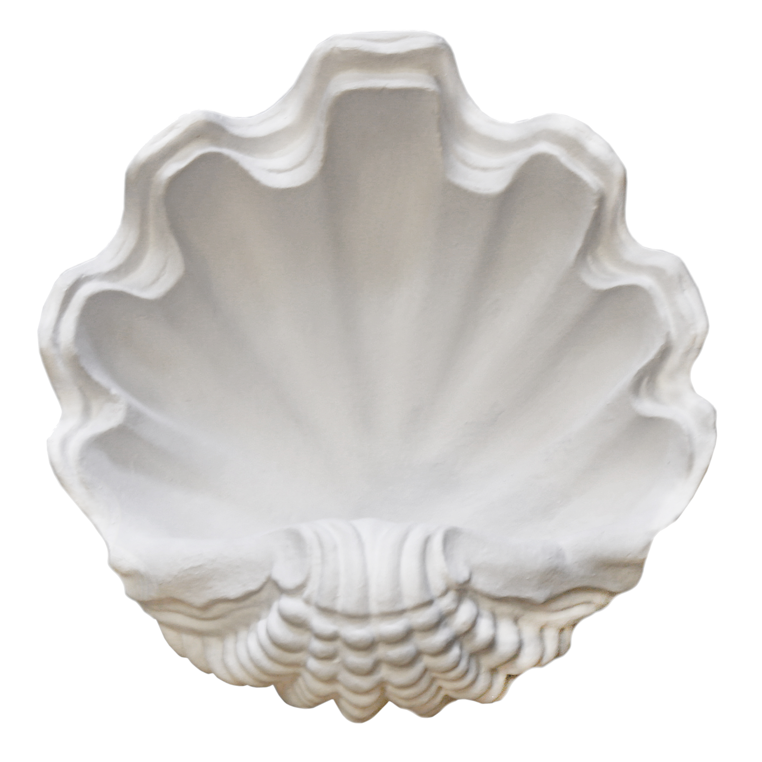Circle Shell Sconce