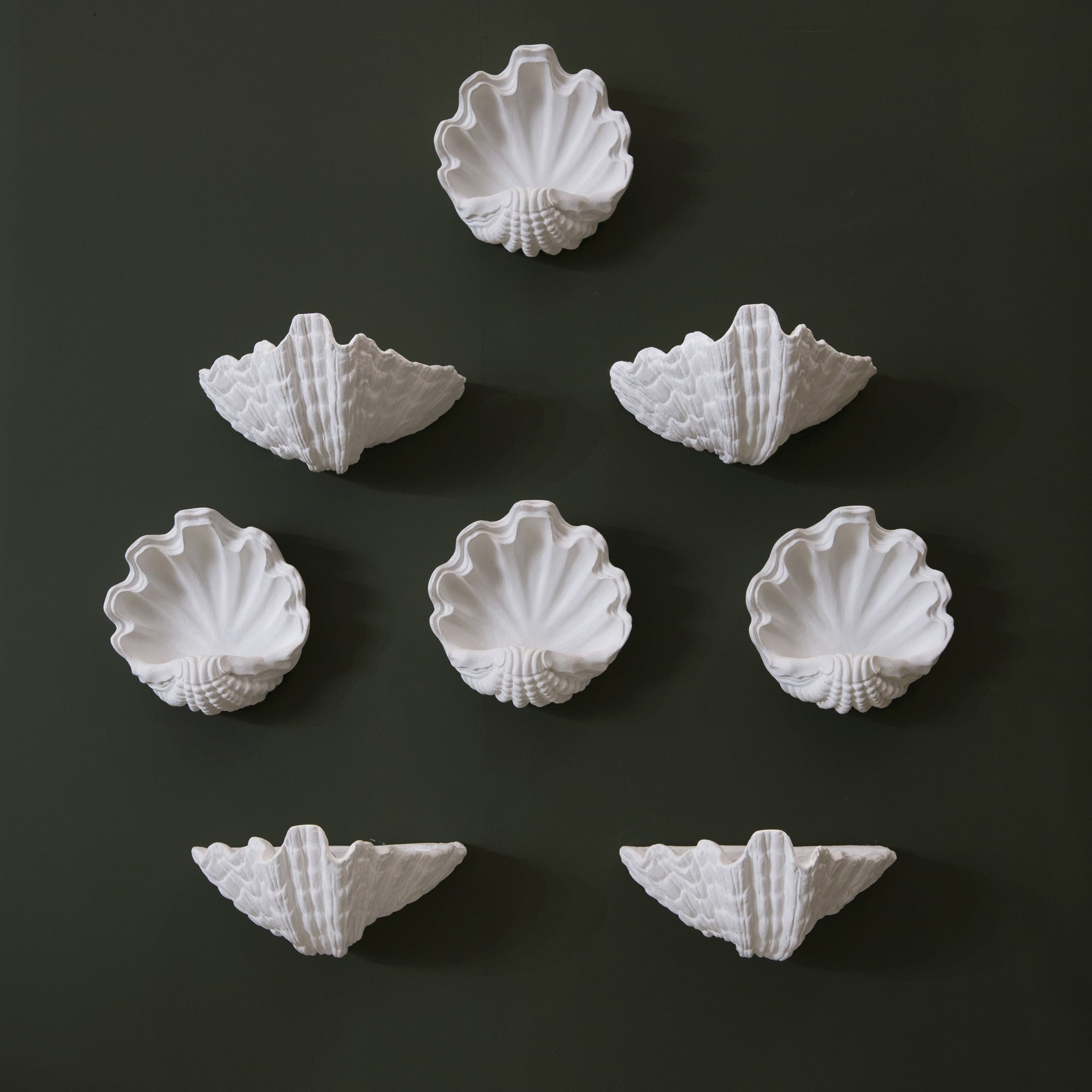 Circle Shell Wall Sconce