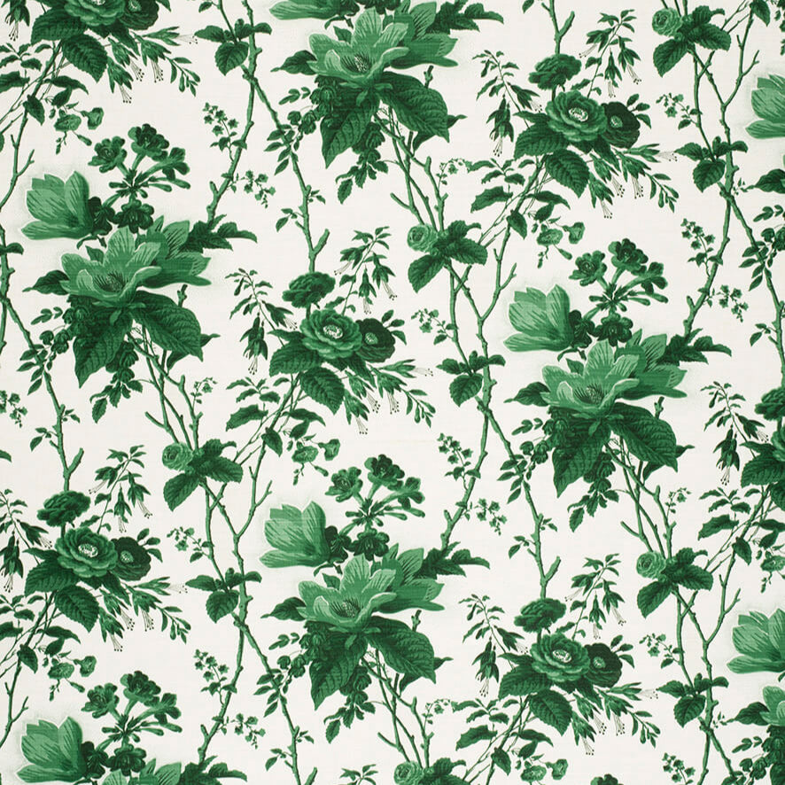 De La Tour &#8211; Paolos Green on White