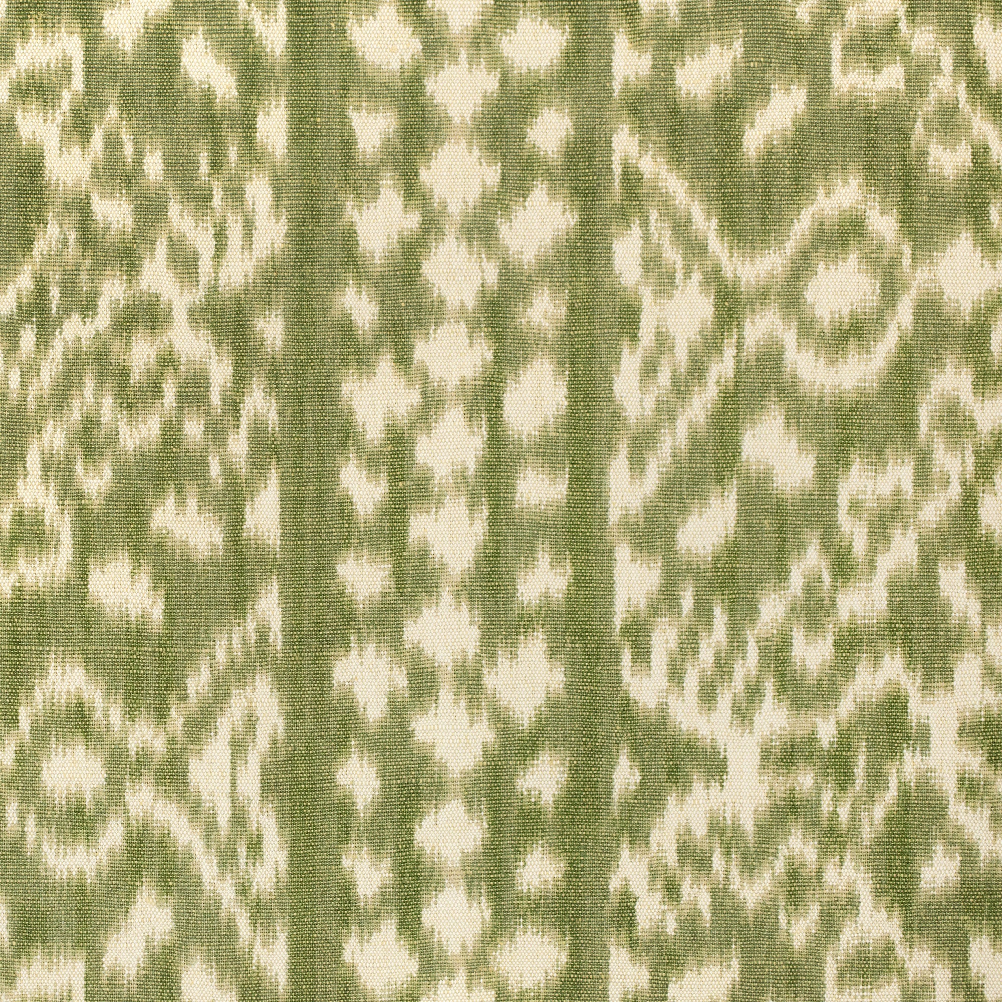 Farah - Fern