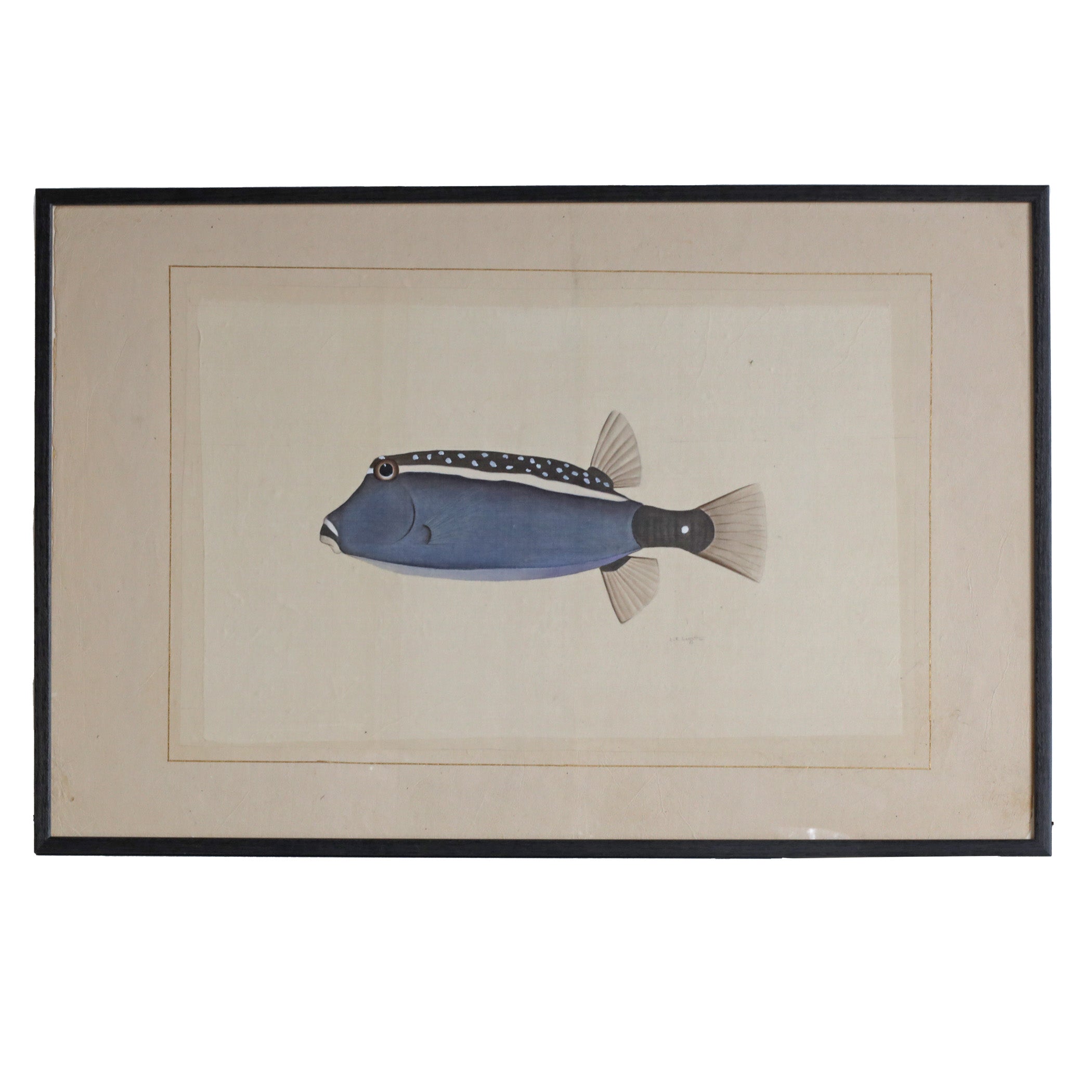Blue Fish - Watercolour by L. R. Laffitte