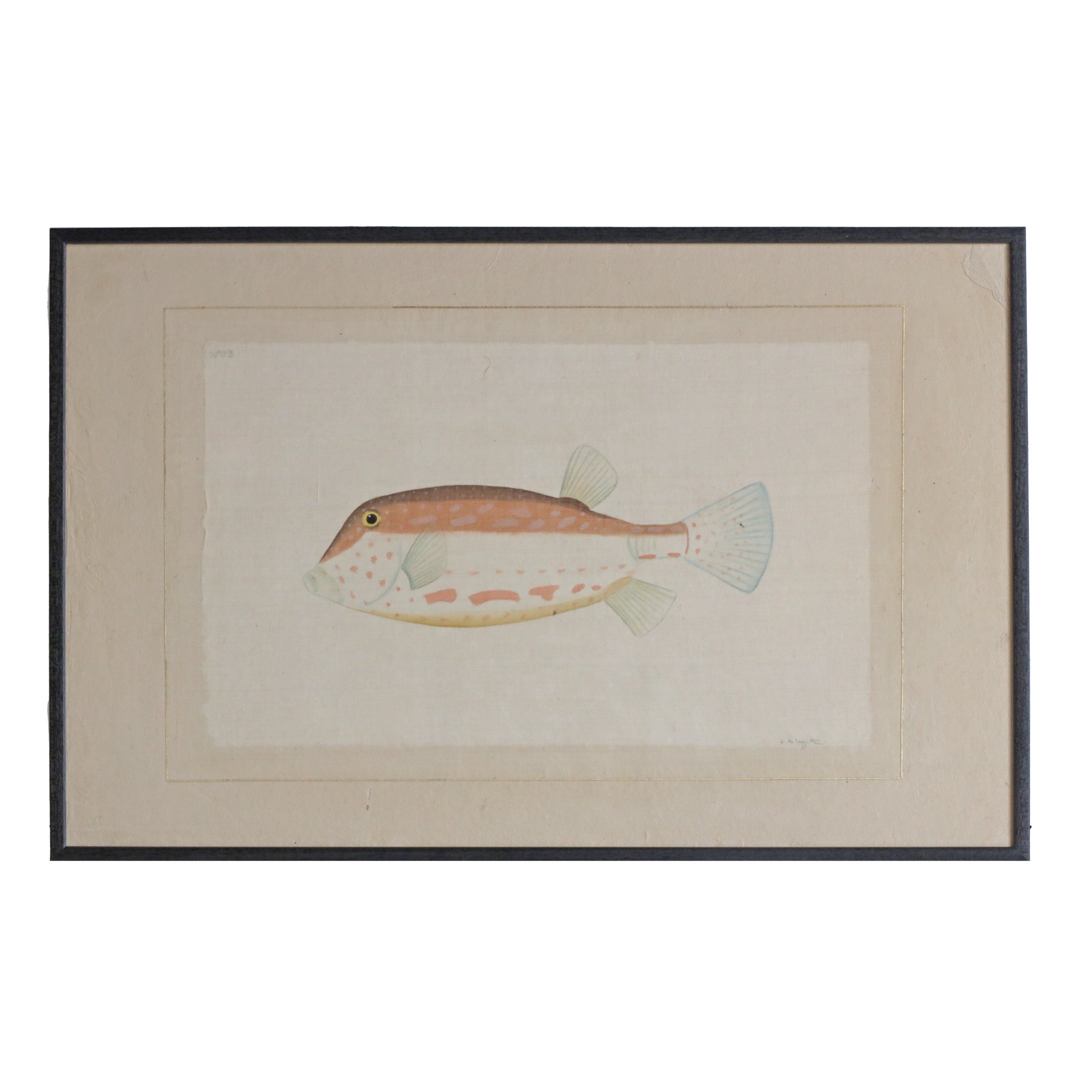 Red and White Fish - Watercolour by L. R. Laffitte