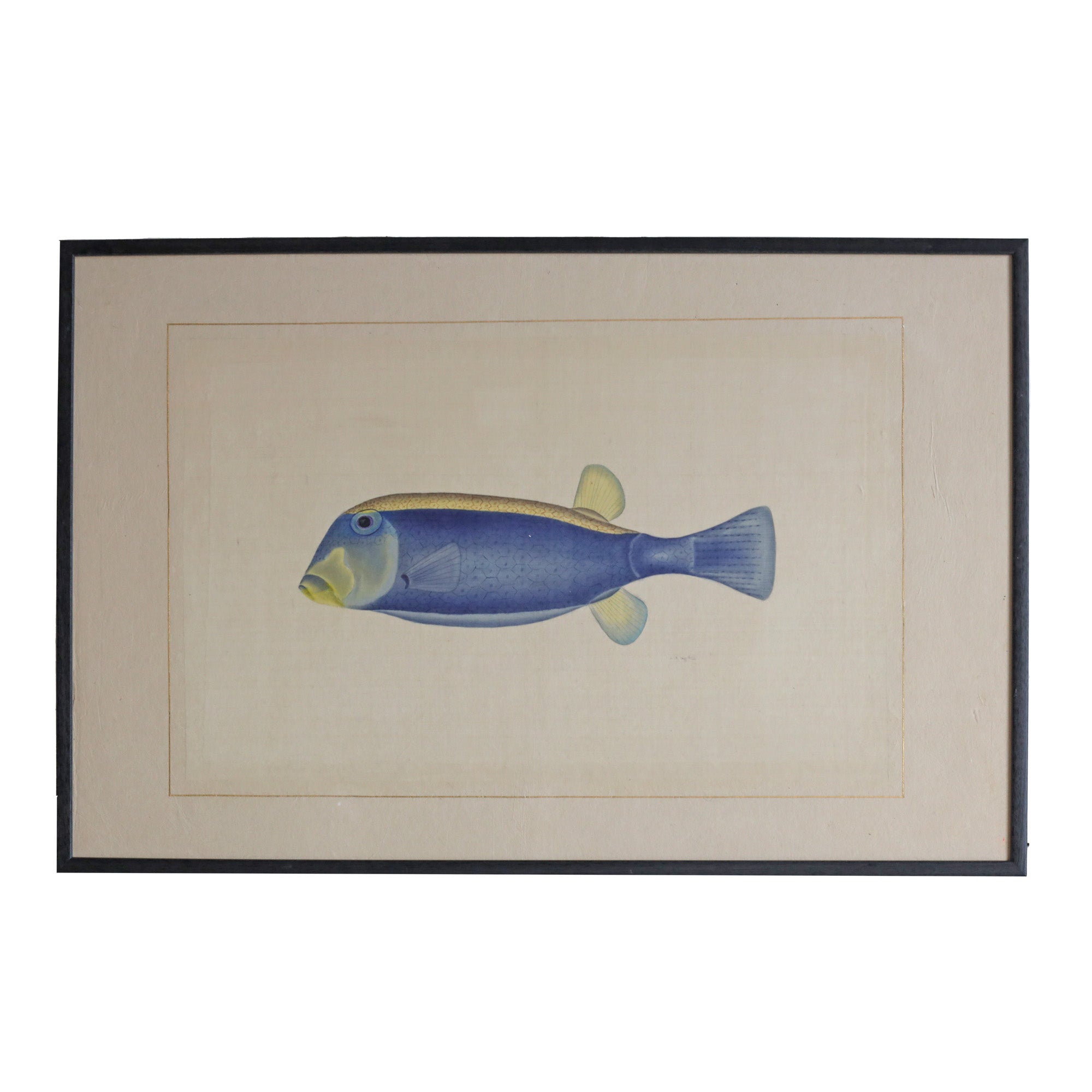 Blue and Yellow Tang Fish - Watercolour by L. R. Laffitte
