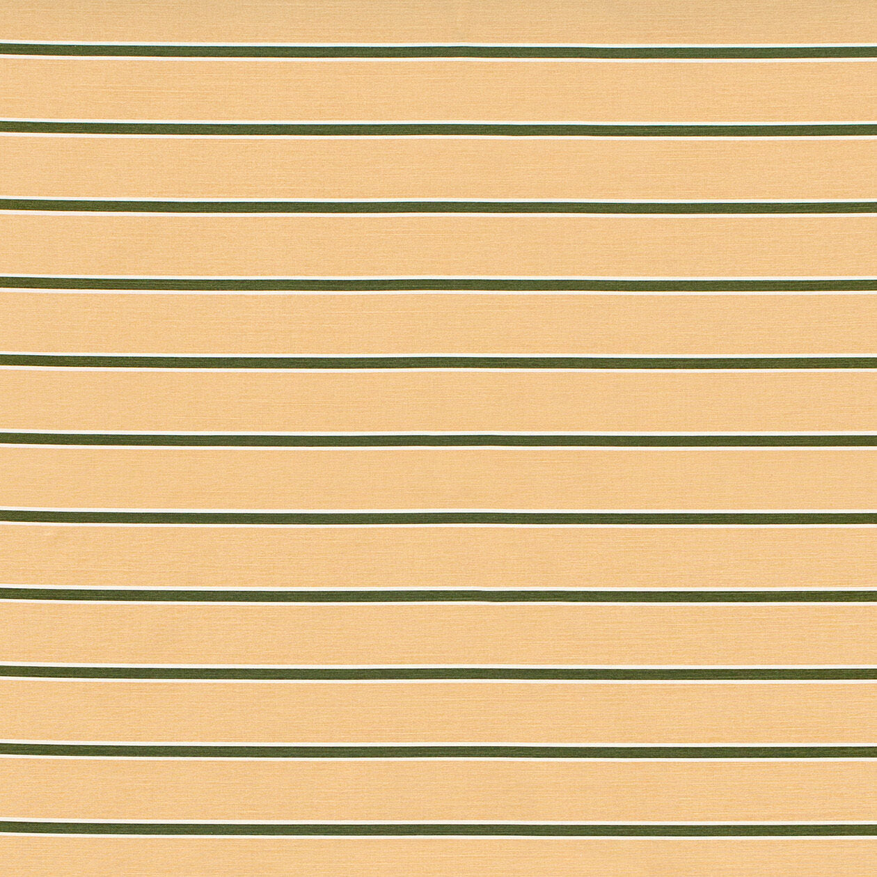 Horizon Stripe - Dark Green on Blush