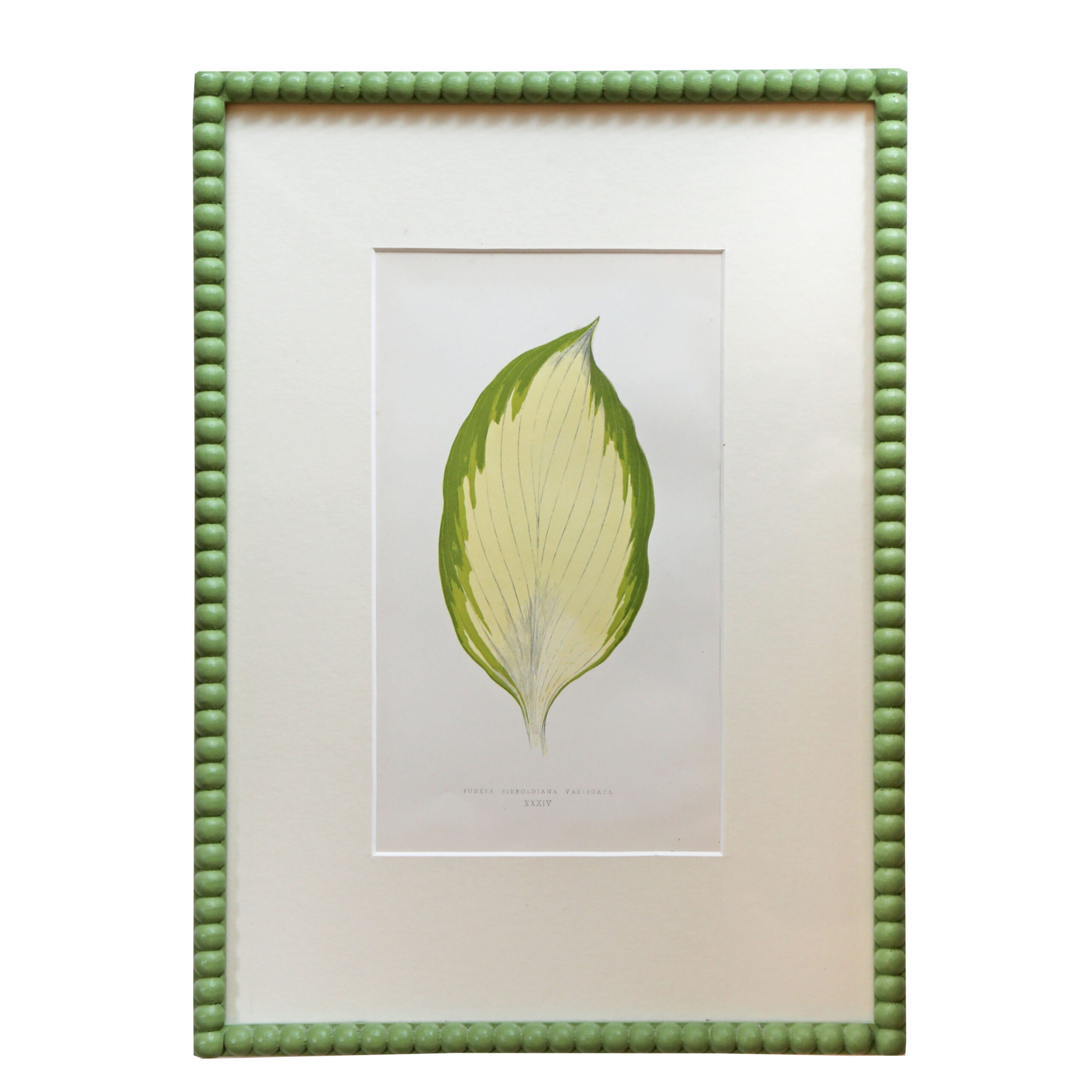 Leaf Artwork I - Green Frame