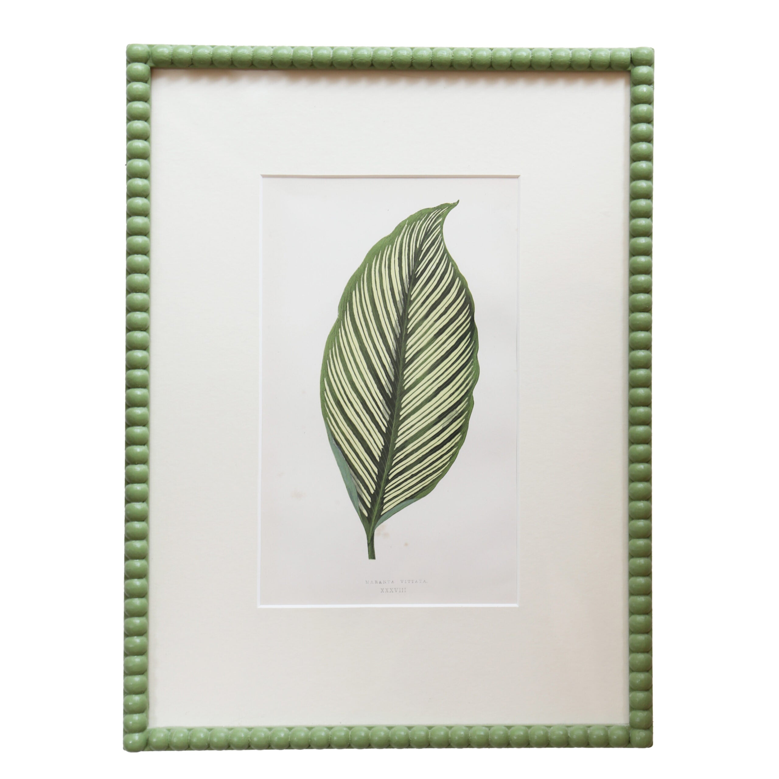 Leaf Artwork II - Green Frame