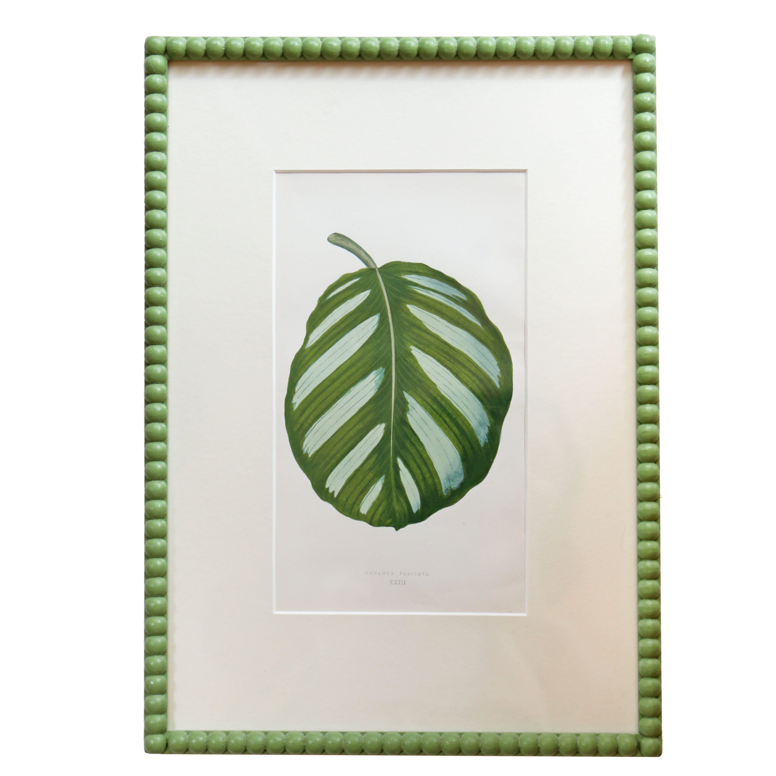 Leaf Artwork III - Green Frame