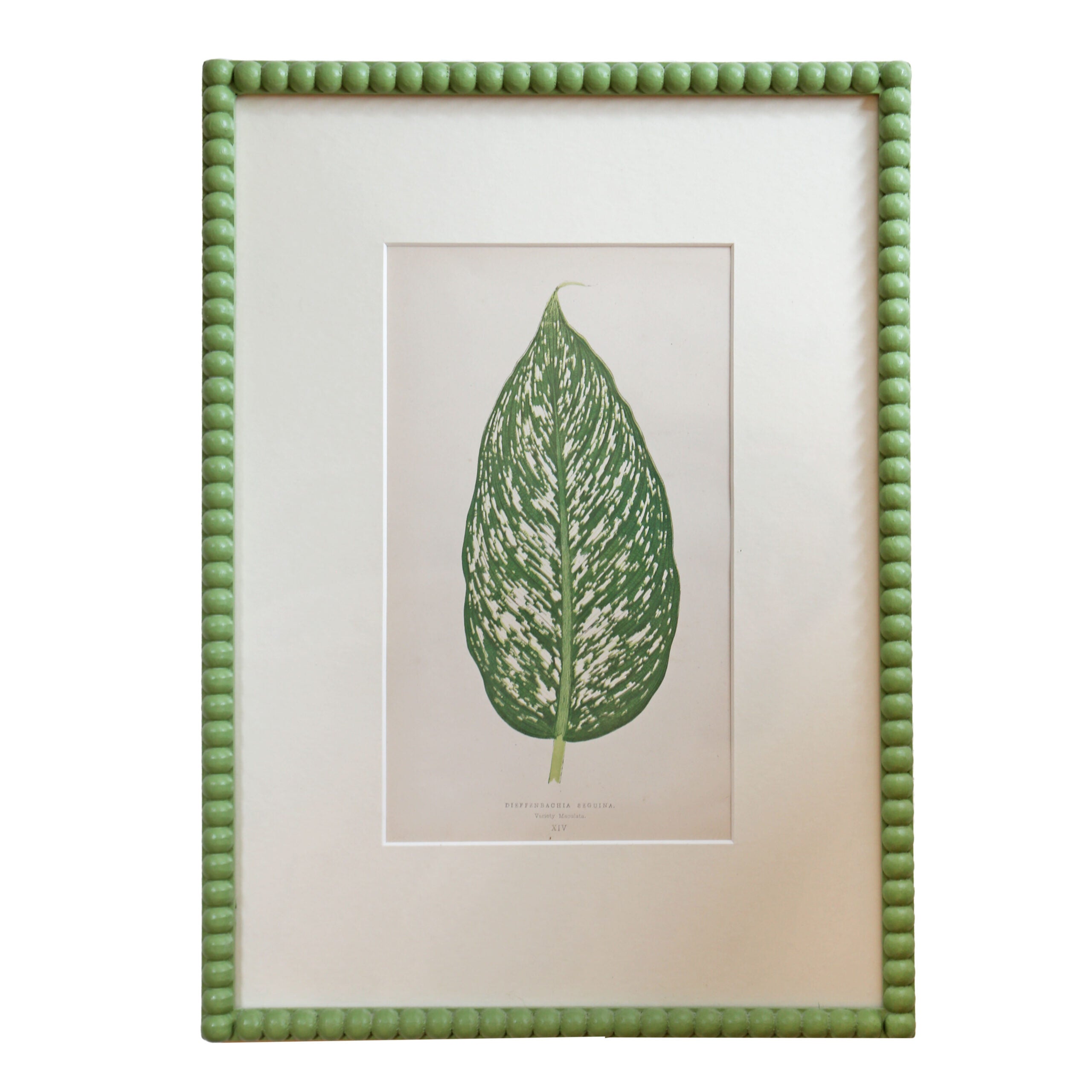 Leaf Artwork IV - Green Frame