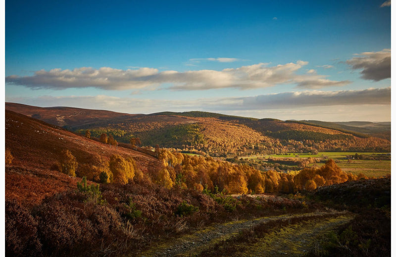 Hunting Lodge in the Scottish Highlands secondary image