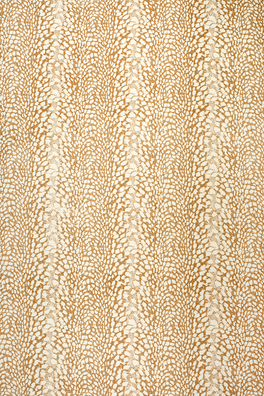 Ocelot Ochre_LR