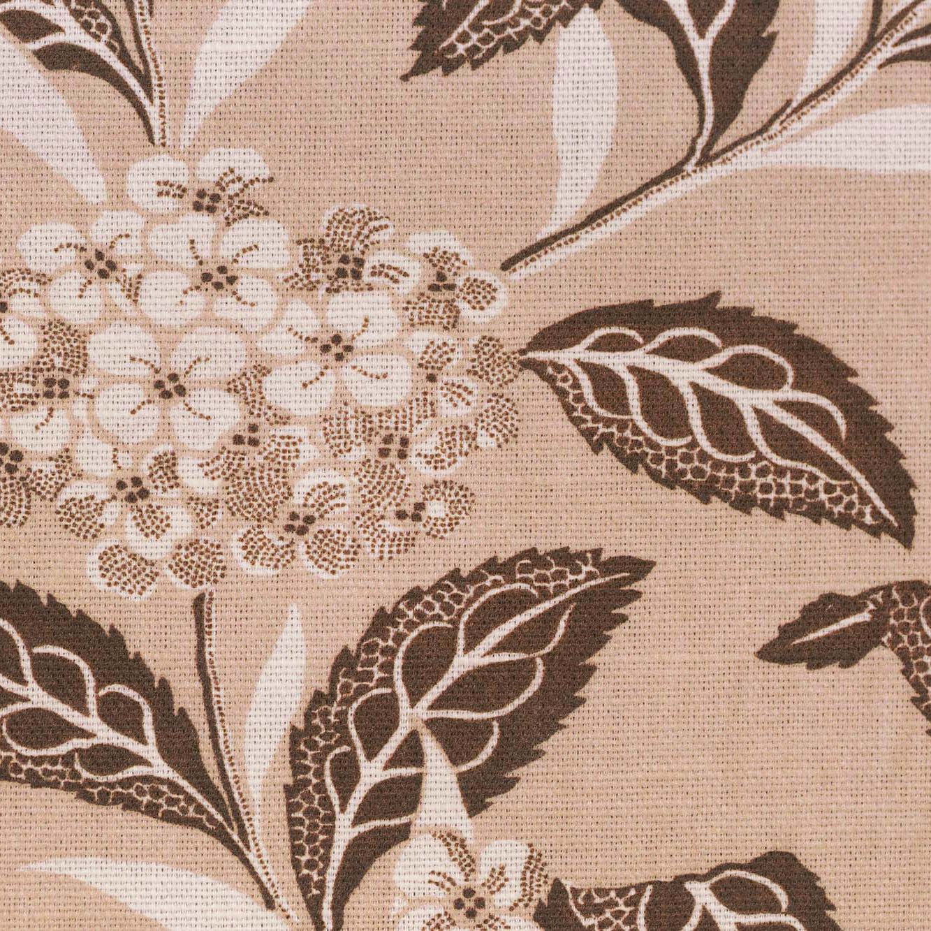 Ortensia - Brown on Blush